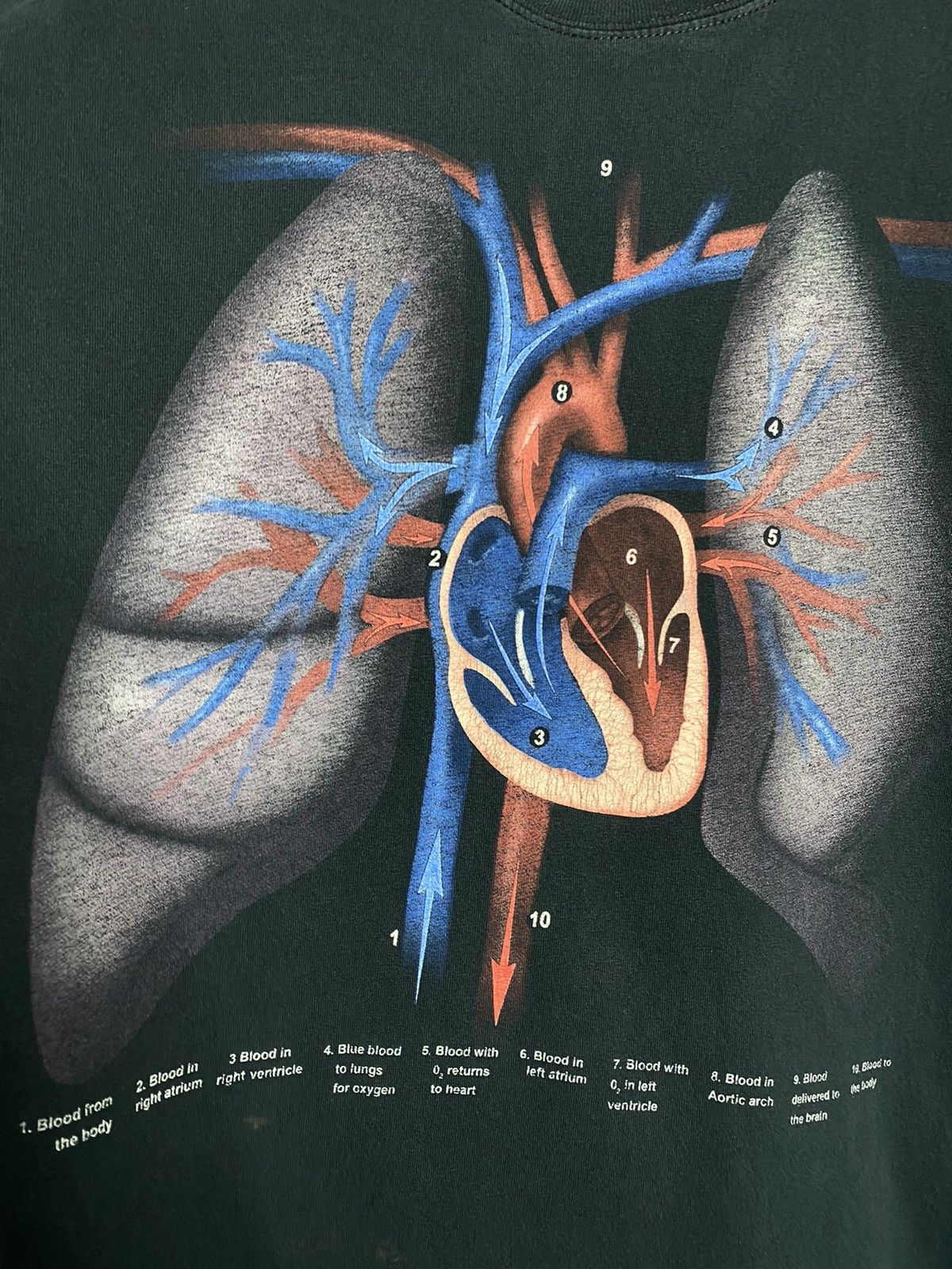 Vintage 🚨Vintage Denver Museum Of Nature & Science Anatomy T-Shirt Size US L / EU 52-54 / 3 - 4 Thumbnail
