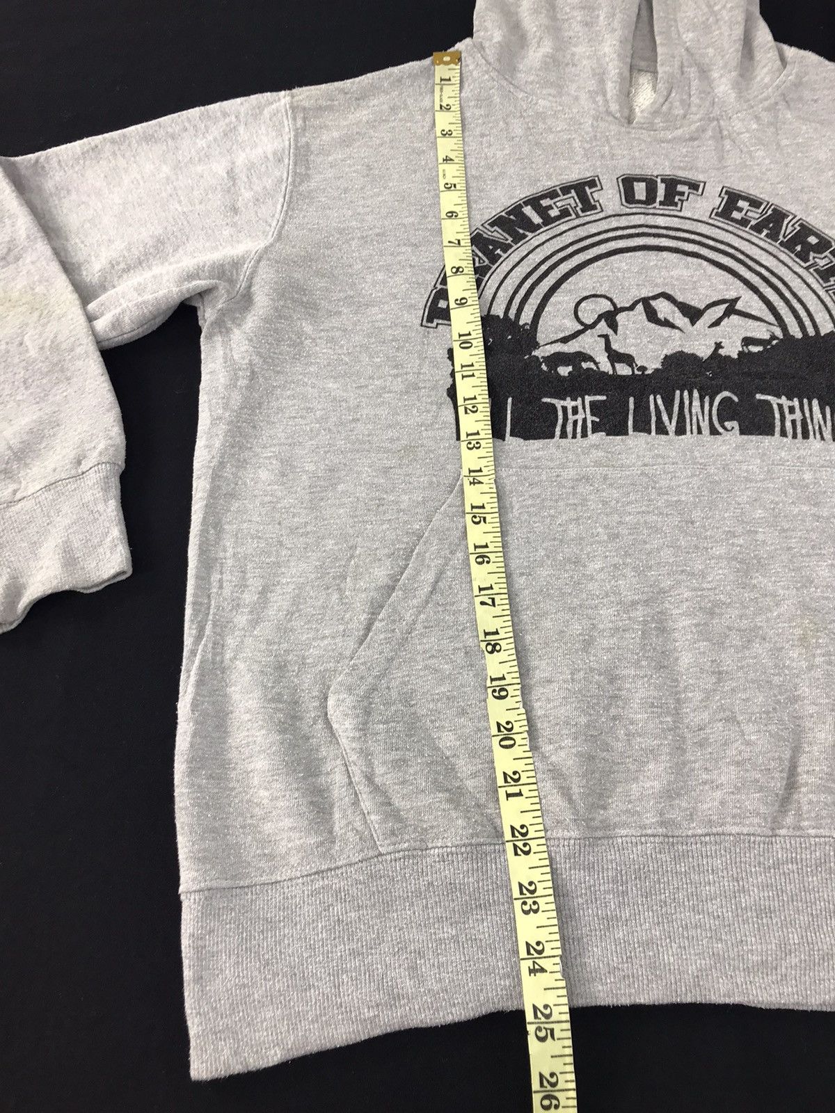 Japanese Brand × Vintage Japanese Brand Pranet Of Earth Living Thing Hoodies Size US L / EU 52-54 / 3 - 9 Thumbnail