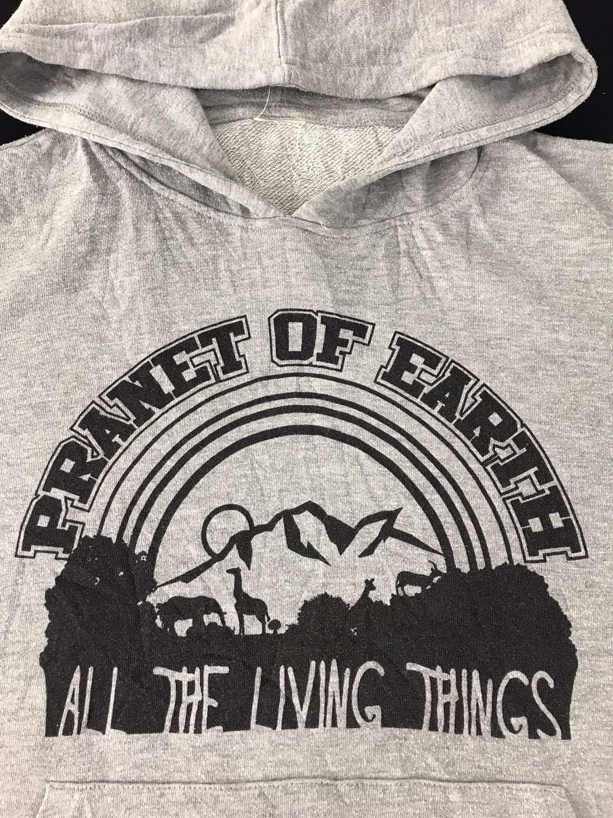 Japanese Brand × Vintage Japanese Brand Pranet Of Earth Living Thing Hoodies Size US L / EU 52-54 / 3 - 4 Thumbnail