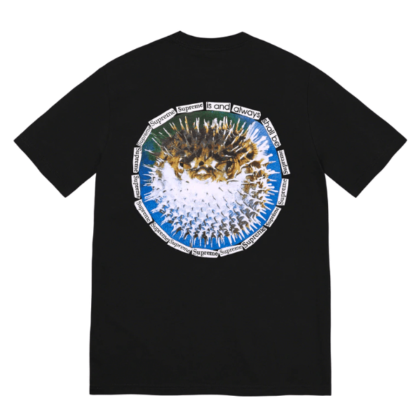 Supreme Weirdo Dave | Grailed
