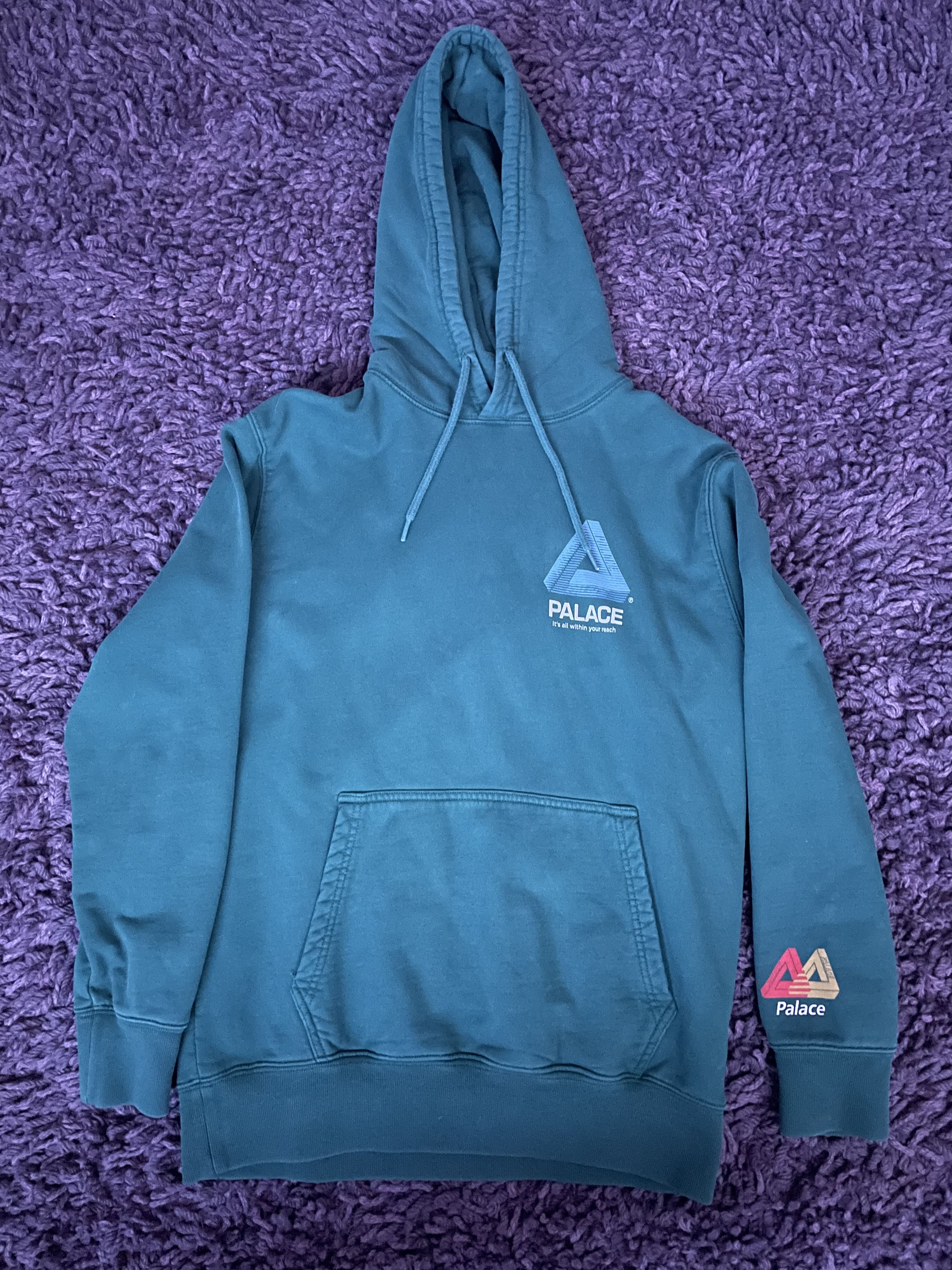 image of Palace Its All Within Your Reach Hoodie in Green, Men's (Size Medium)