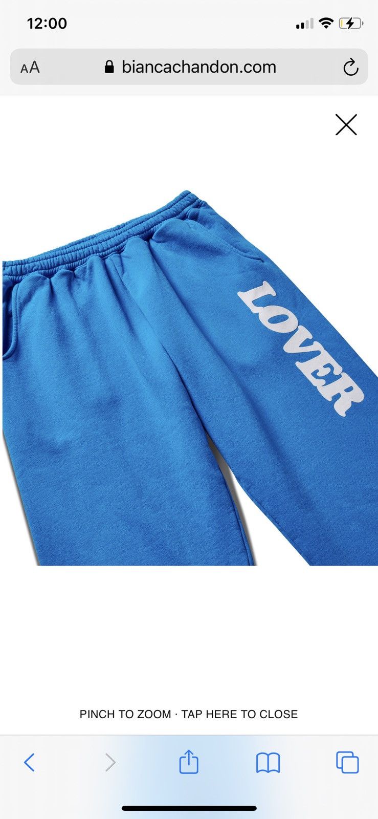 BIANCA CHANDON Bianca Chandon LOVER 10TH ANNIVERSARY SWEATPANTS BLUE small Size US 29 - 2 Thumbnail