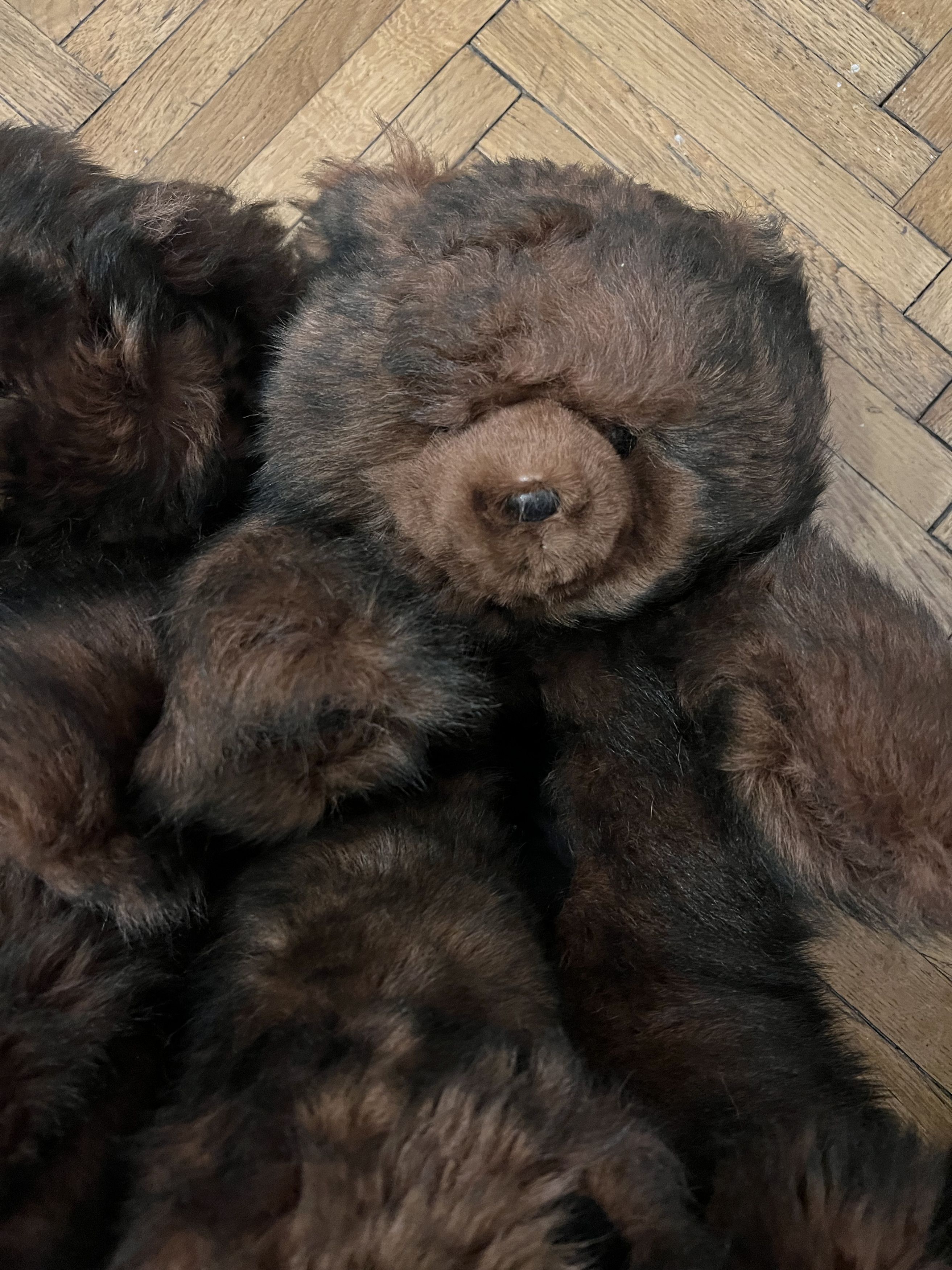 Vetements *RARE* VETEMENTS Fur Bear shoes Size 35 Size US 5 / IT 35 - 4 Thumbnail