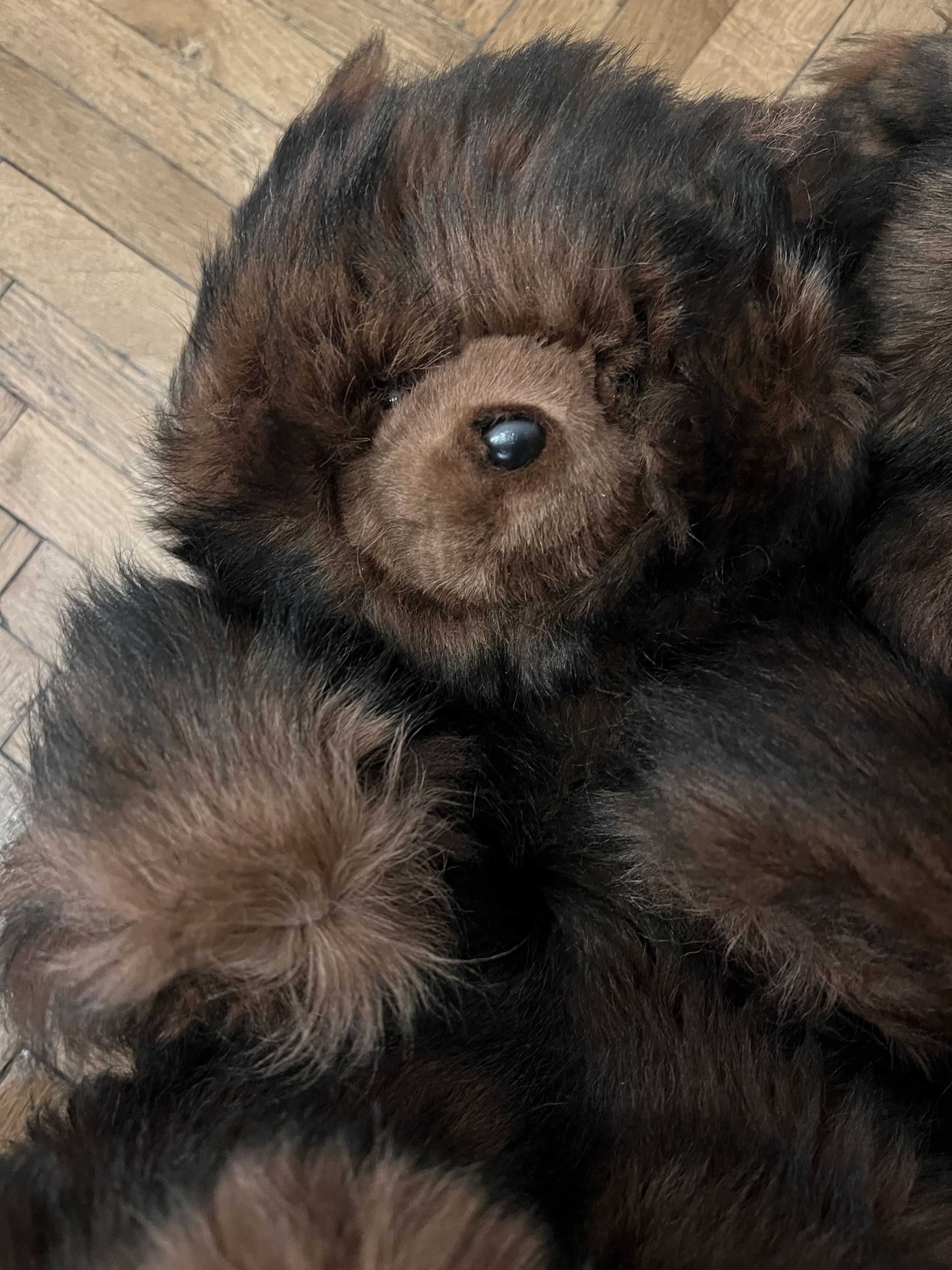 Vetements *RARE* VETEMENTS Fur Bear shoes Size 39 Size US 6 / EU 39 - 2 Thumbnail
