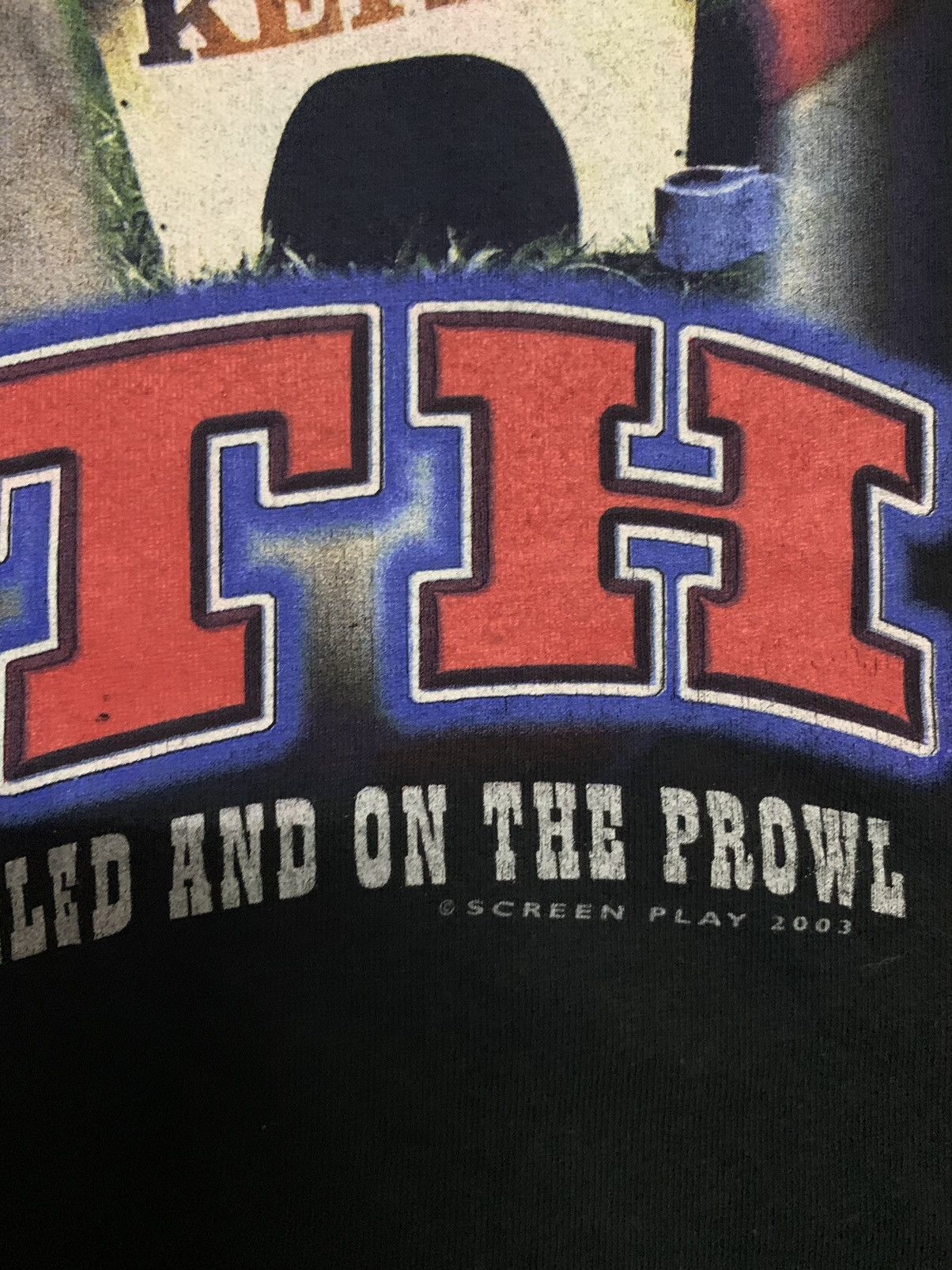 Band Tees Vintage 2003 toby keith raptees style Size US L / EU 52-54 / 3 - 6 Thumbnail