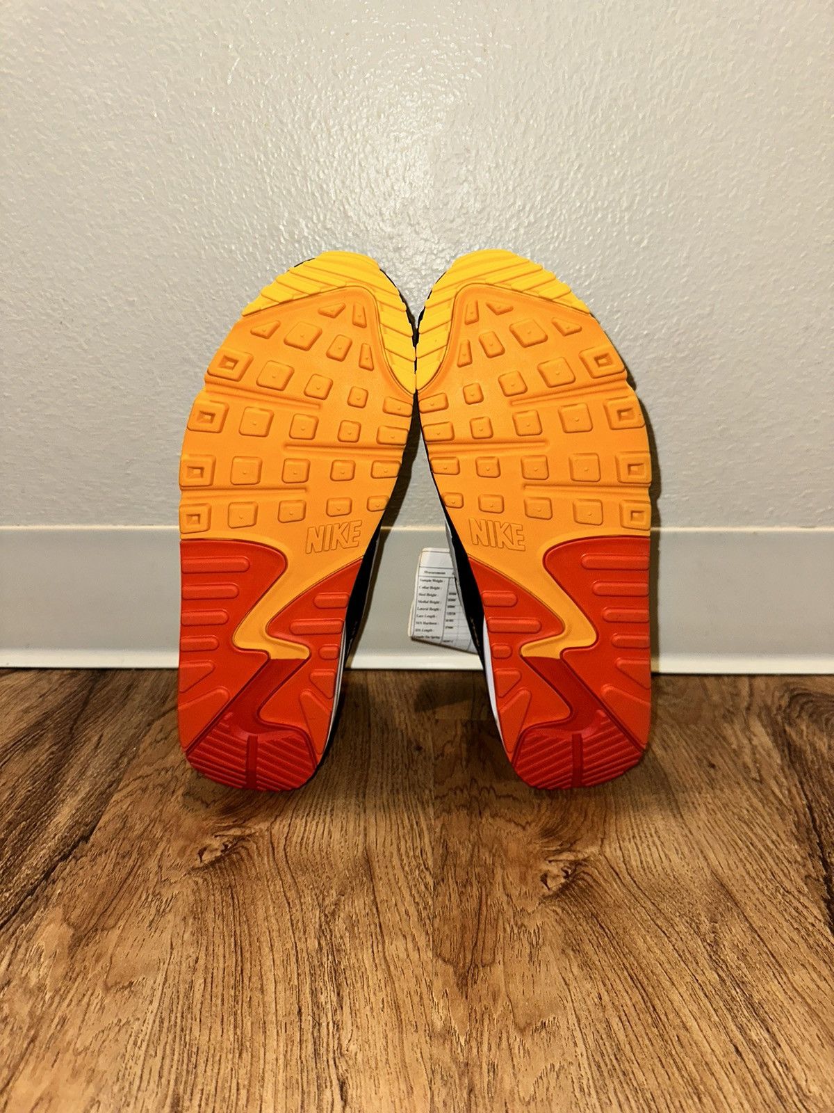 Nike Air Max 90 Raygun Sample