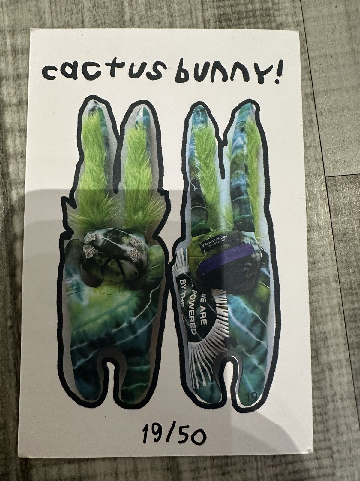 Cactus Plant Flea Market Cactus Bunny 19/50 Size ONE SIZE - 4 Thumbnail