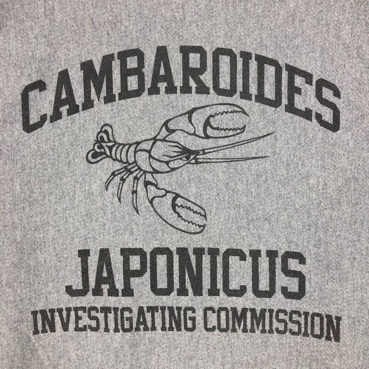 Champion VINTAGE CHAMPION REVERSE WEAVE SWEATSHIRT Size US L / EU 52-54 / 3 - 3 Thumbnail