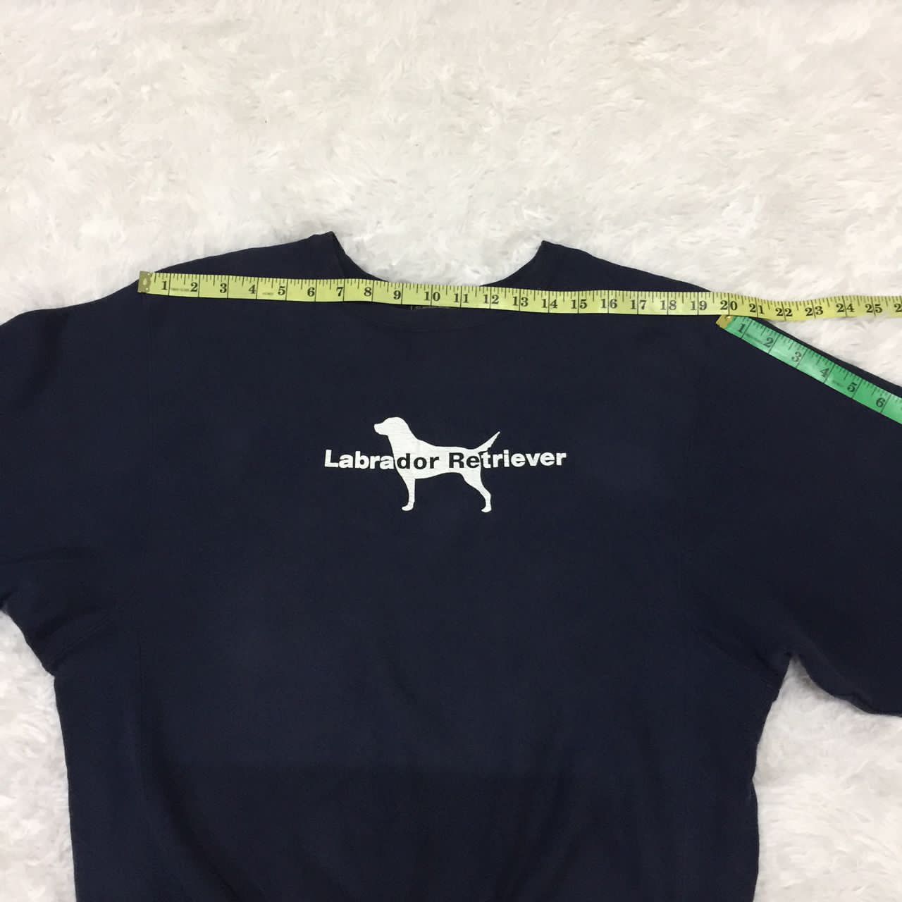 Champion Labrador Retriever x champion reverse wave sweatshirt Size US S / EU 44-46 / 1 - 4 Thumbnail