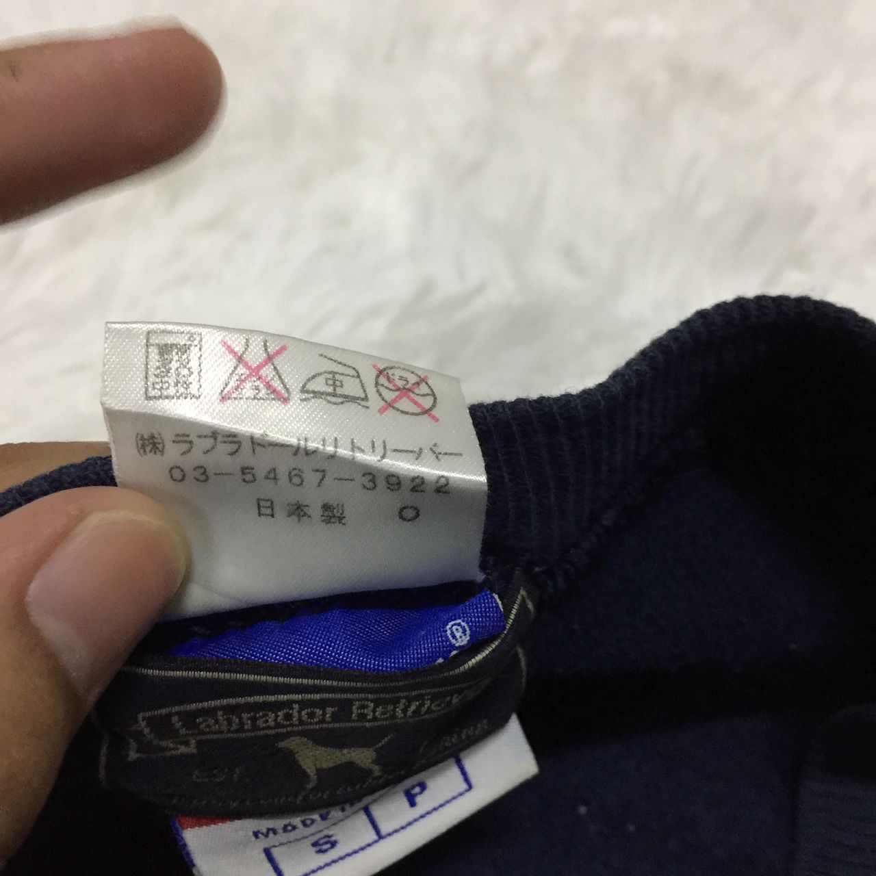 Champion Labrador Retriever x champion reverse wave sweatshirt Size US S / EU 44-46 / 1 - 8 Thumbnail