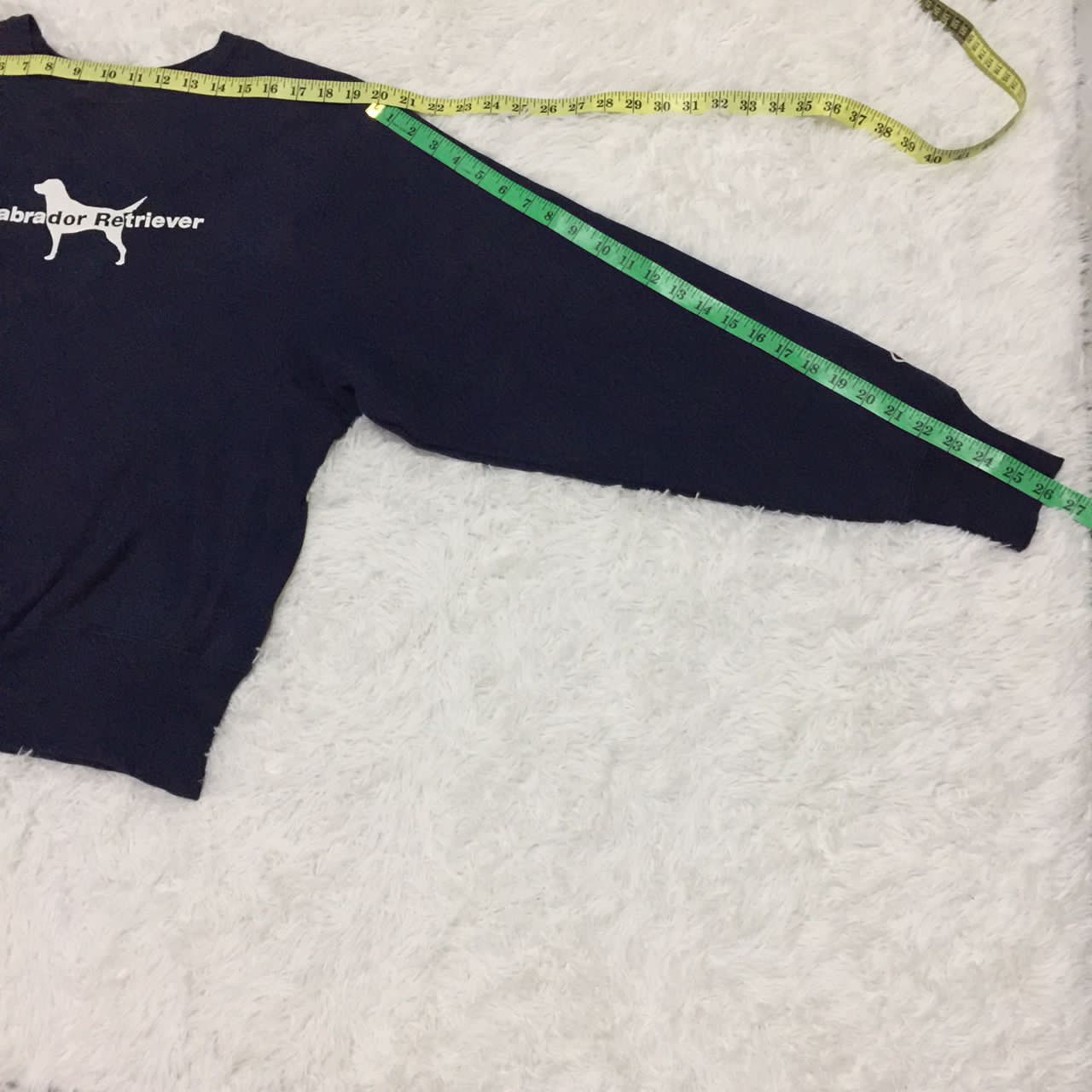 Champion Labrador Retriever x champion reverse wave sweatshirt Size US S / EU 44-46 / 1 - 5 Thumbnail