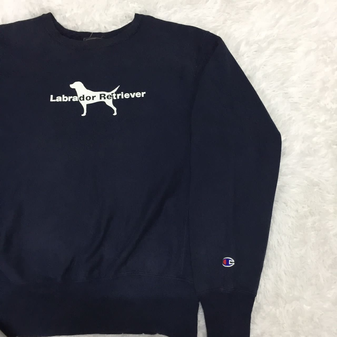 Champion Labrador Retriever x champion reverse wave sweatshirt Size US S / EU 44-46 / 1 - 10 Thumbnail