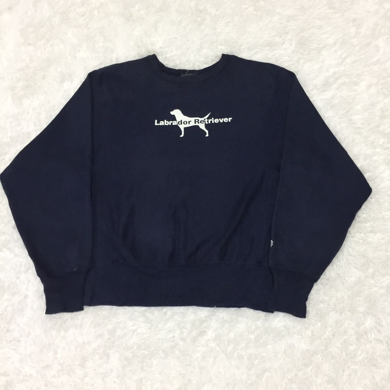 Champion Labrador Retriever x champion reverse wave sweatshirt Size US S / EU 44-46 / 1 - 11 Thumbnail