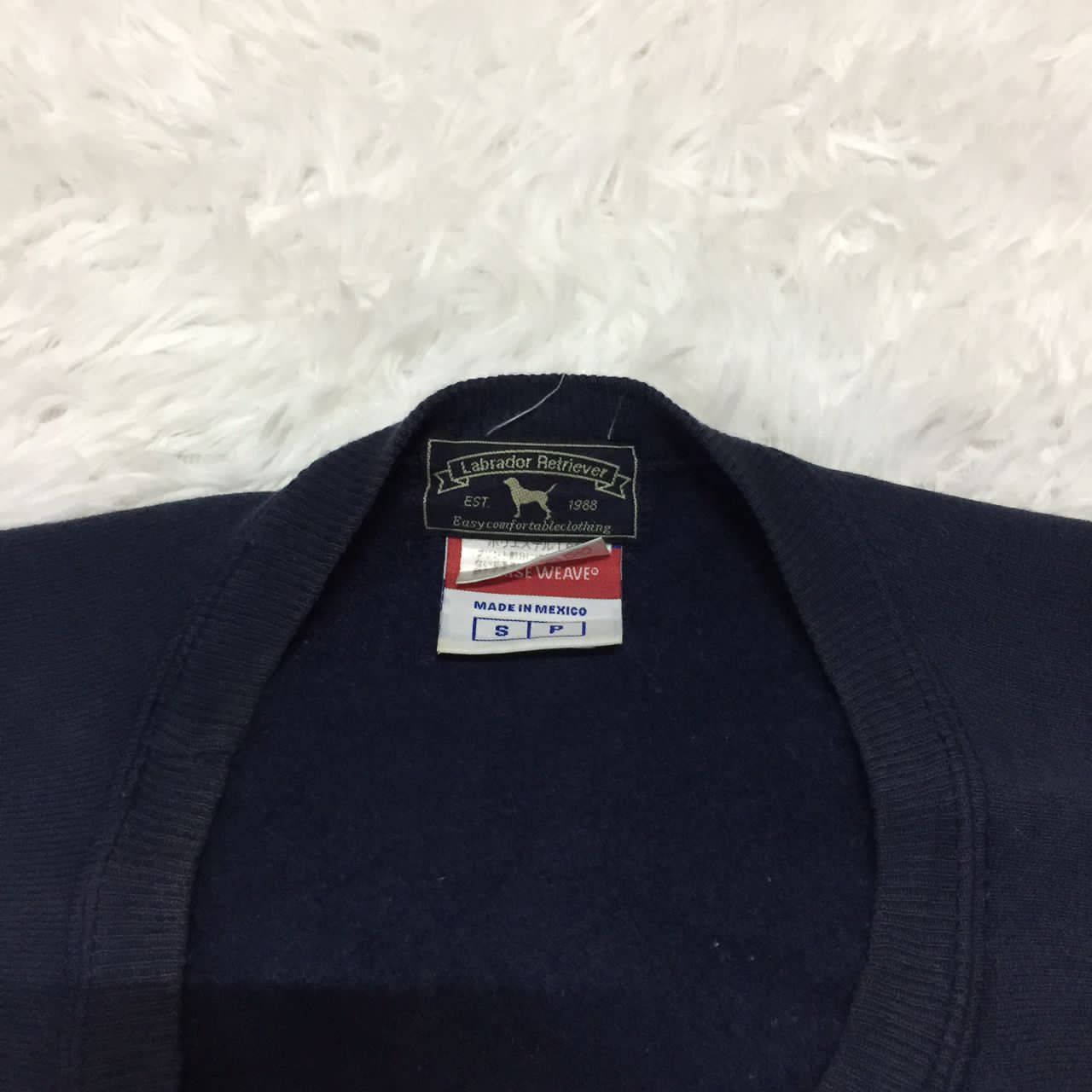 Champion Labrador Retriever x champion reverse wave sweatshirt Size US S / EU 44-46 / 1 - 6 Thumbnail