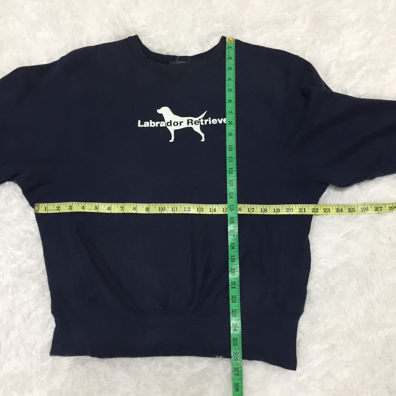 Champion Labrador Retriever x champion reverse wave sweatshirt Size US S / EU 44-46 / 1 - 3 Thumbnail