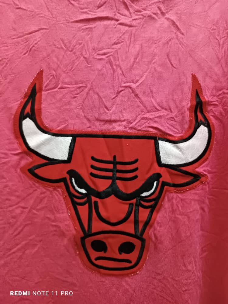 Champion × NBA × Vintage VINTAGE CHICAGO BULLS/CHAMPION Rodman Jordan Size US M / EU 48-50 / 2 - 8 Thumbnail