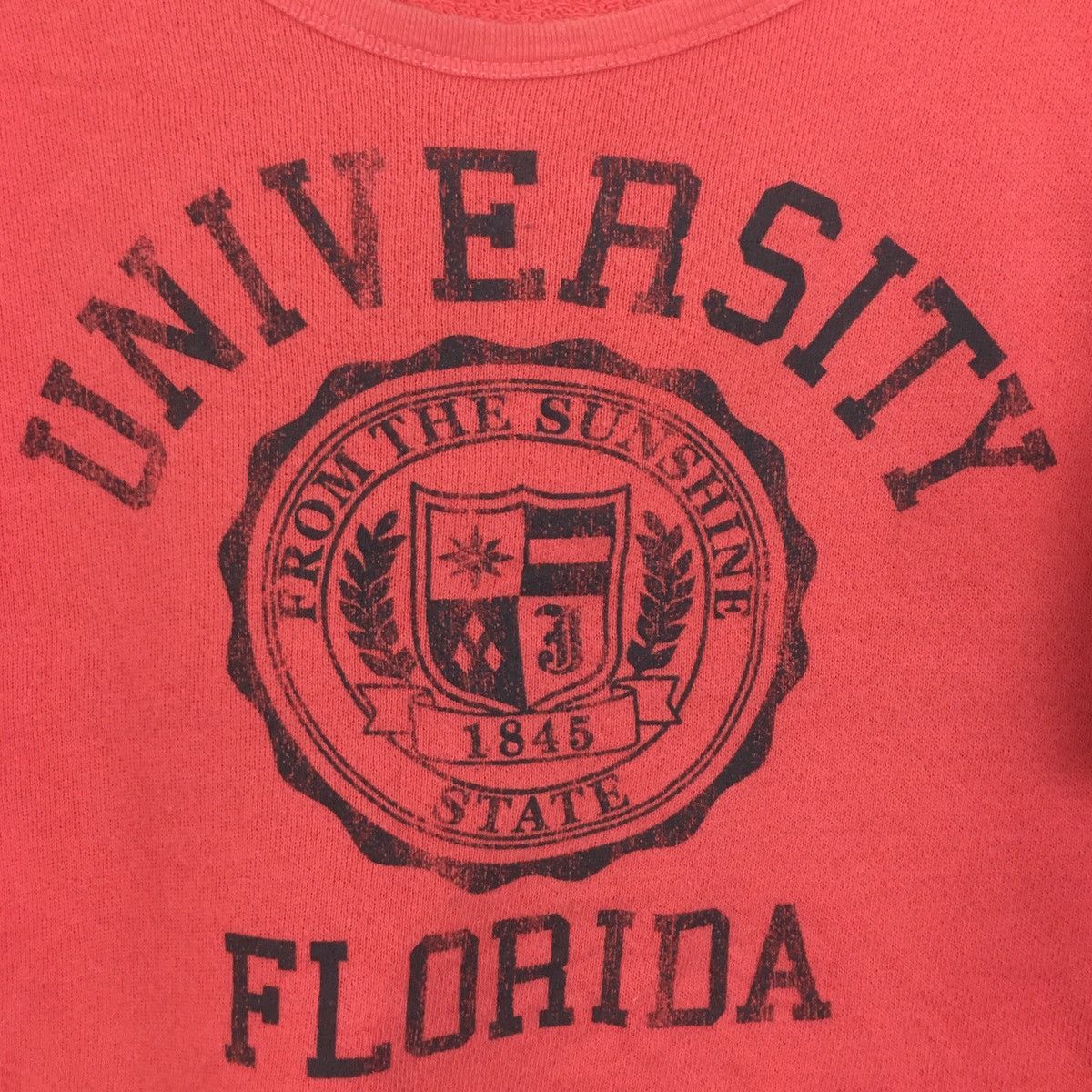 Vintage Vintage University Florida CropTop The University Florida Size M / US 6-8 / IT 42-44 - 2 Thumbnail