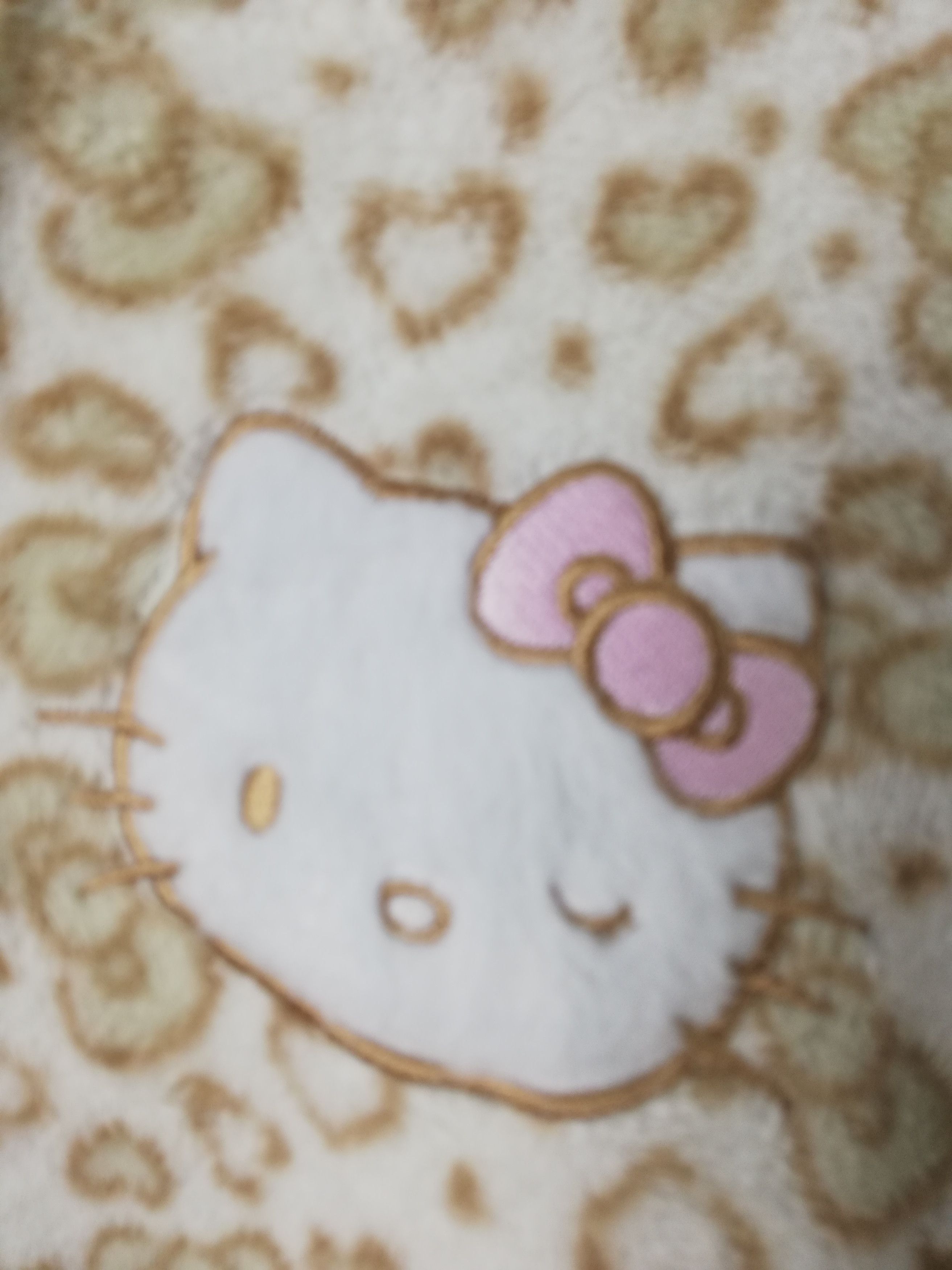 Anime × Cartoon Network × Japanese Brand 💥RARE💥 Anima Hello Kitty Fleece Hoodies #0145 Size US L / EU 52-54 / 3 - 8 Thumbnail