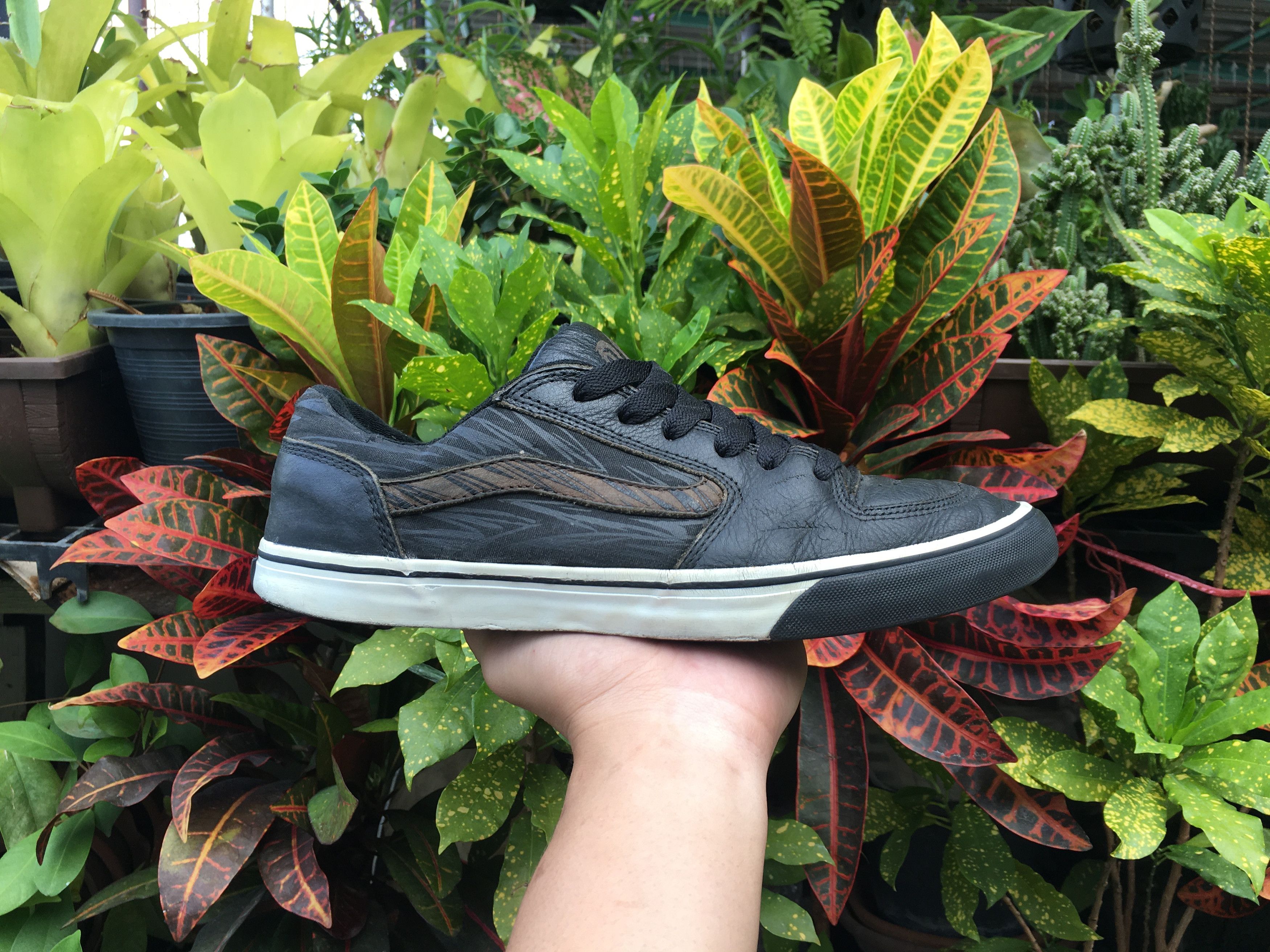 Vans tnt 4 sales