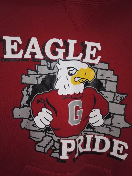 🔥Rare🔥 90's Eagle Pride Team Russell Hoodie Red Colour
