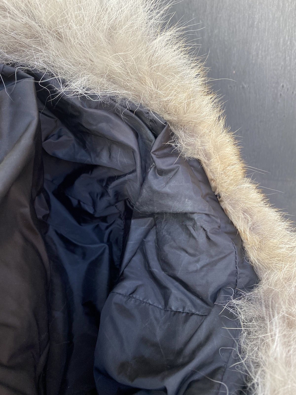 Jean Paul Gaultier Jean Paul Gaultier Vintage puffer fur coyote jacket size 42 Size M / US 6-8 / IT 42-44 - 13 Thumbnail