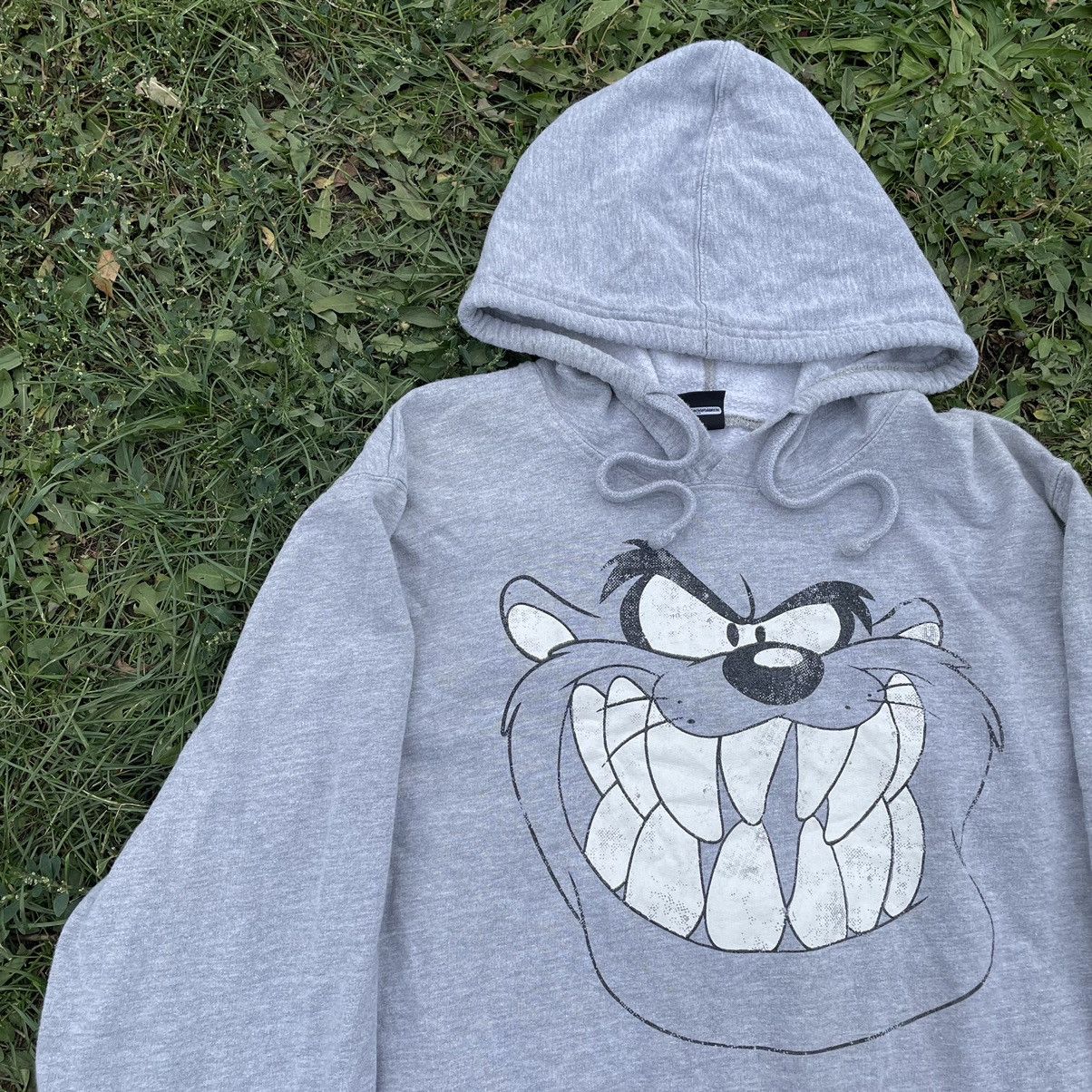 Vintage Vintage Y2K Warner Bros Tasmanian Devil Graphic Hoodie Stree Size US XL / EU 56 / 4 - 4 Thumbnail