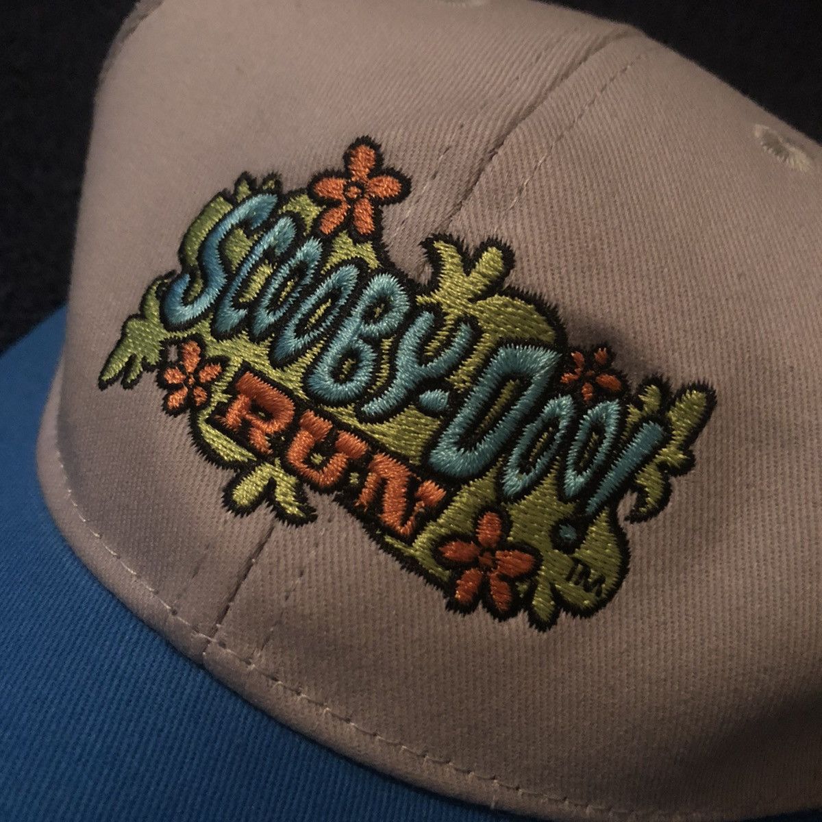 Cartoon Network Vintage 2000s Scooby Dooby Doo Run Logo Snapback Trucker Hat Size ONE SIZE - 3 Thumbnail