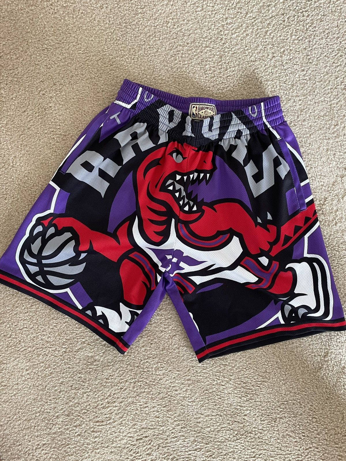 mitchell and ness raptors swingman shorts