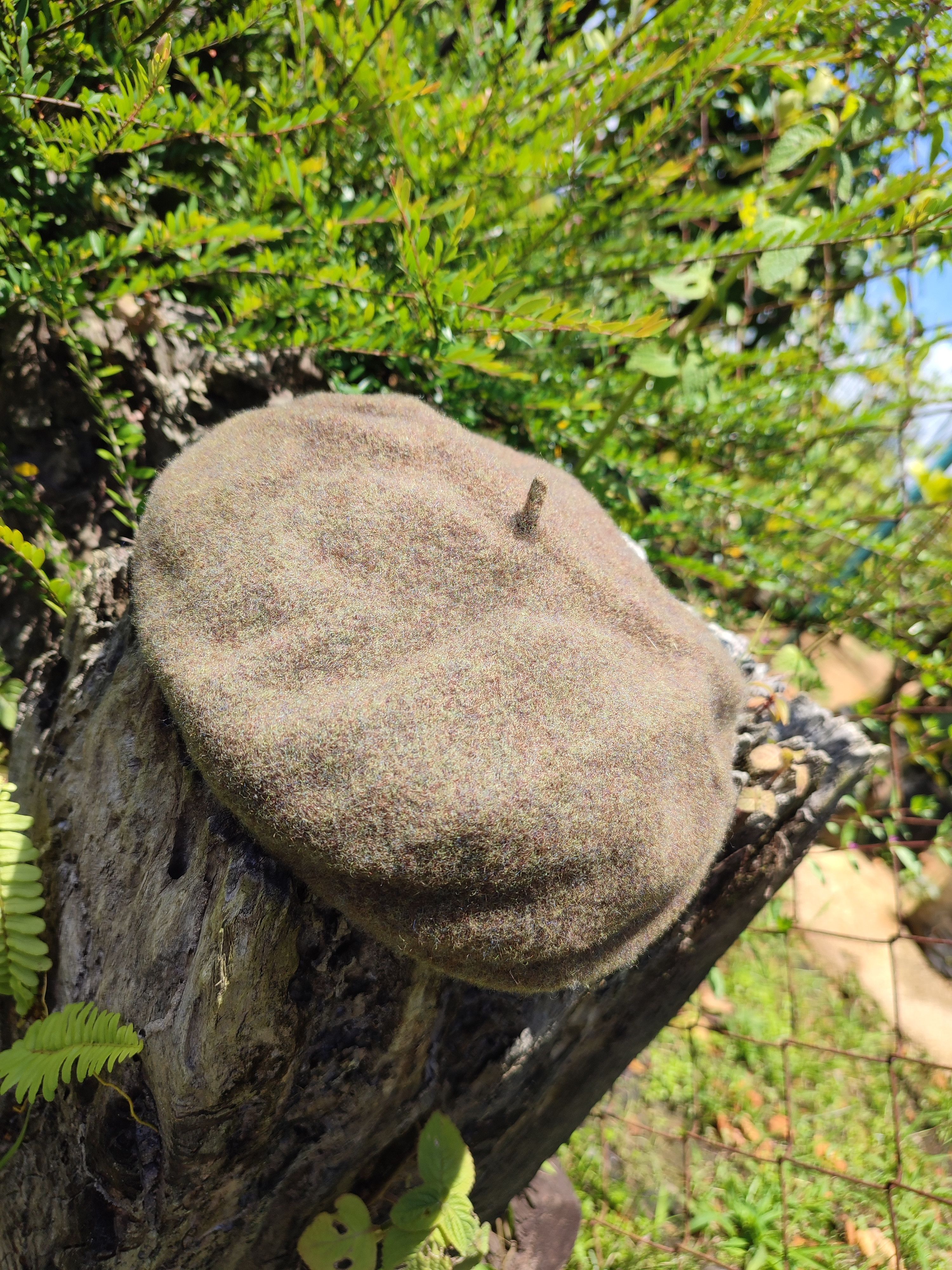 Designer × Japanese Brand 🔥STEAL🔥Japan Made Milear Wool Beret Hat Size ONE SIZE - 7 Thumbnail