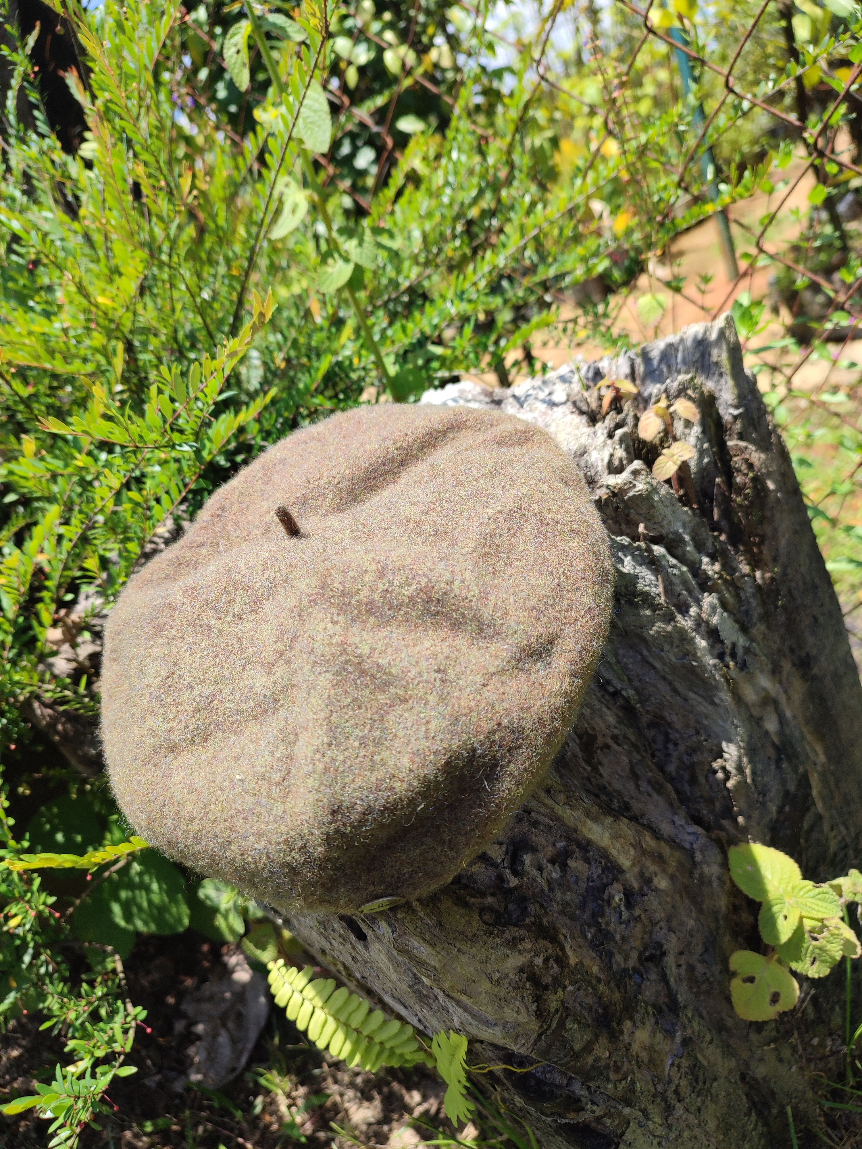 Designer × Japanese Brand 🔥STEAL🔥Japan Made Milear Wool Beret Hat Size ONE SIZE - 9 Thumbnail