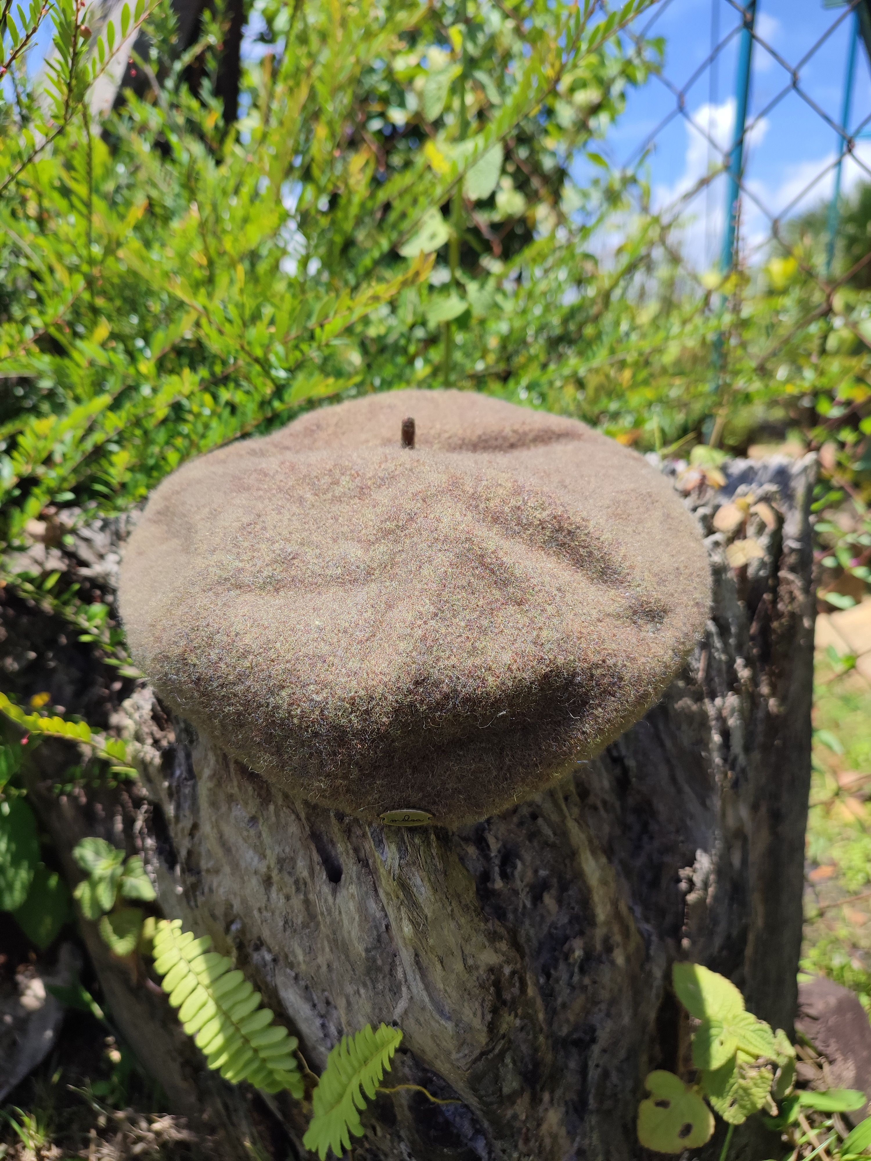 Designer × Japanese Brand 🔥STEAL🔥Japan Made Milear Wool Beret Hat Size ONE SIZE - 1 Thumbnail