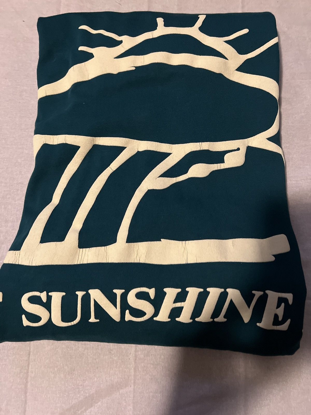 Cactus Plant Flea Market Let Sunshine Do Tee Size US L / EU 52-54 / 3 - 5 Thumbnail