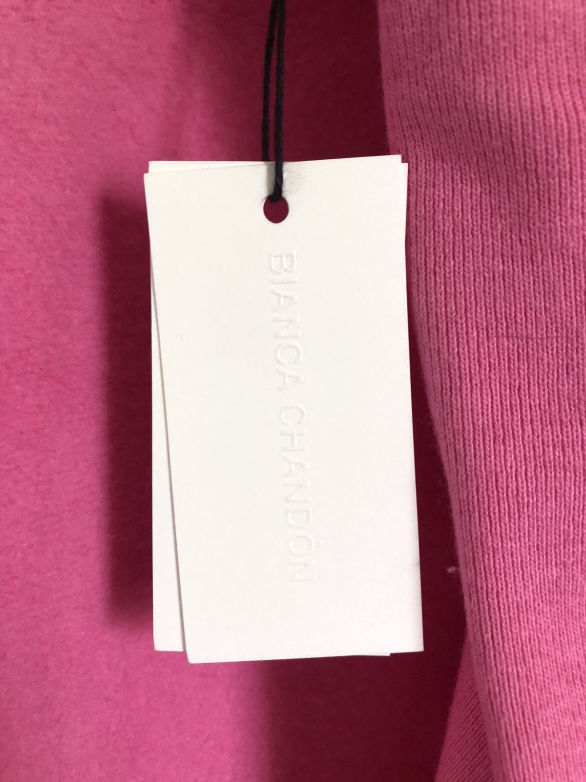 BIANCA CHANDON Bianca Chandon Reverse Fleece pink signature skate hoodie Size US M / EU 48-50 / 2 - 5 Thumbnail