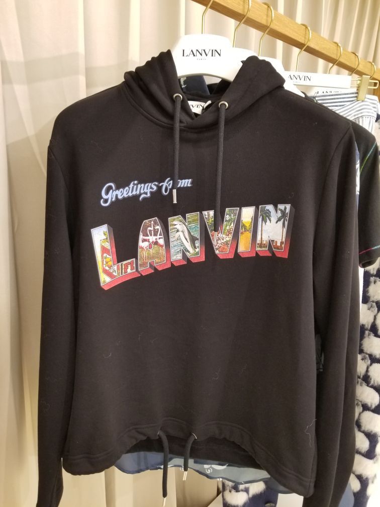 Lanvin Pullover Logo Hoodie Size US M / EU 48-50 / 2 - 1 Preview