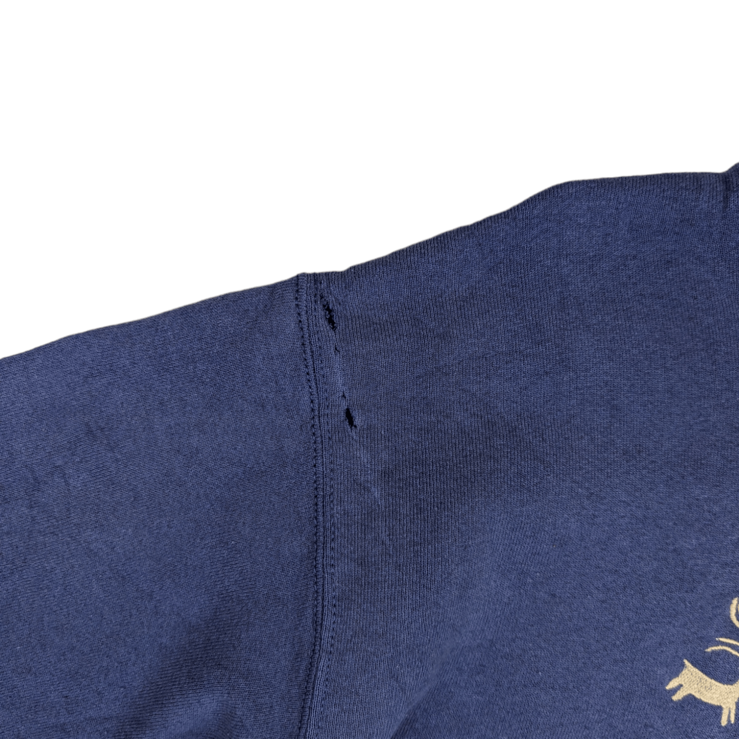 Fruit Of The Loom × Vintage Vintage 2000's FOTL Grand Canyon Jumper Sweatshirt Size US M / EU 48-50 / 2 - 9 Thumbnail
