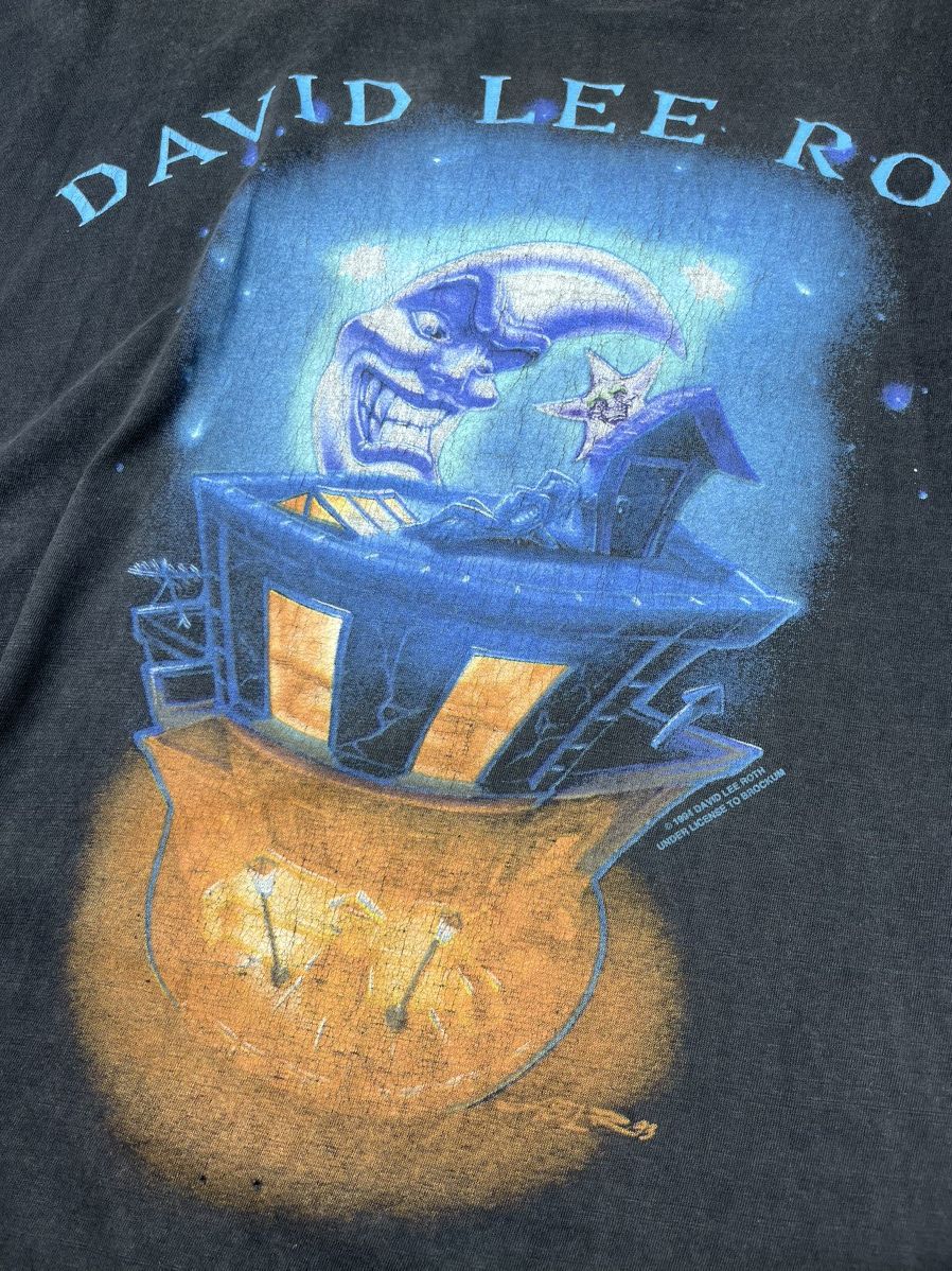 Band Tees RARE🔥 Vintage 1994 David Lee Roth tshirt the entire world Size US M / EU 48-50 / 2 - 4 Thumbnail