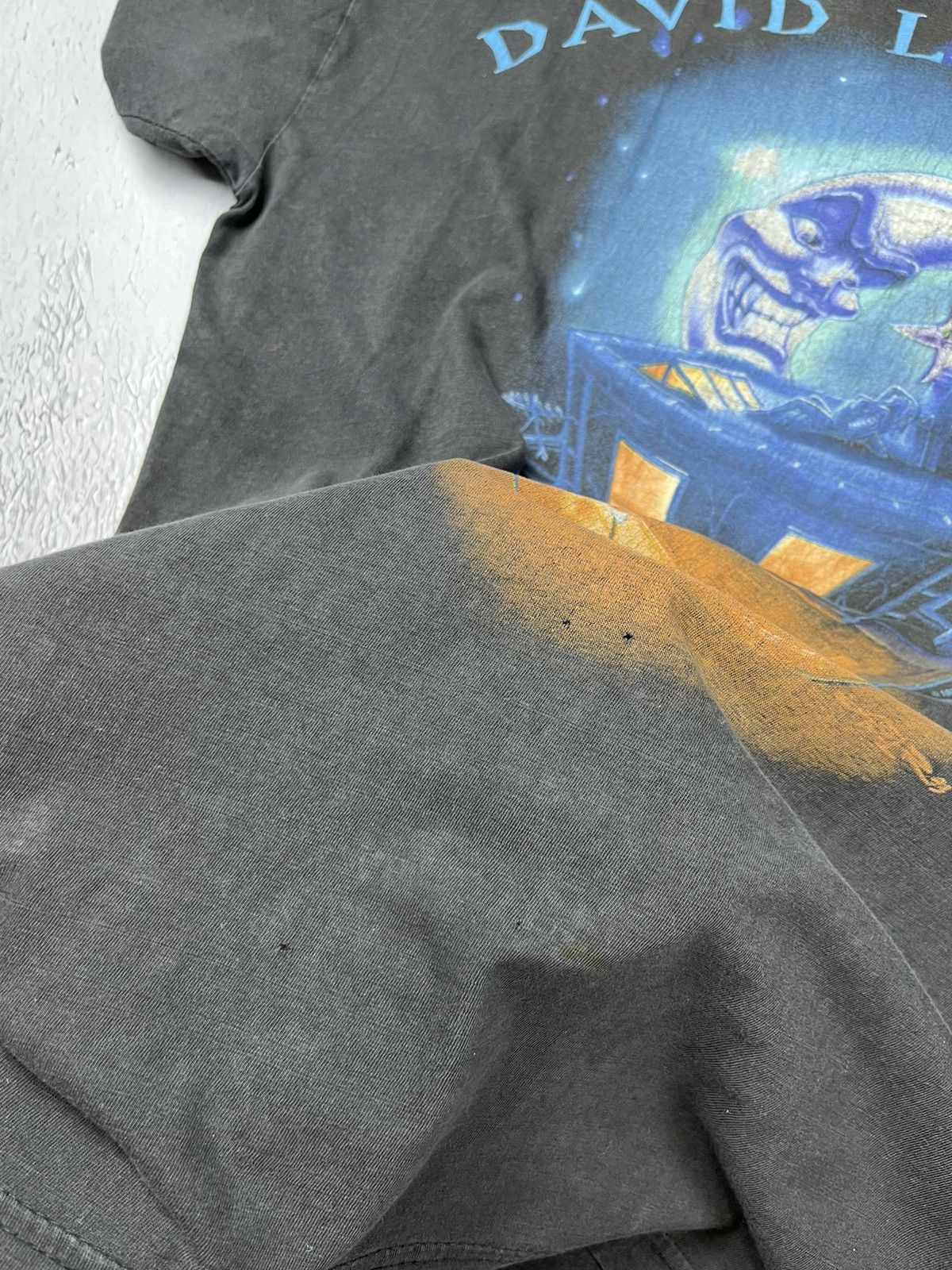 Band Tees RARE🔥 Vintage 1994 David Lee Roth tshirt the entire world Size US M / EU 48-50 / 2 - 10 Thumbnail