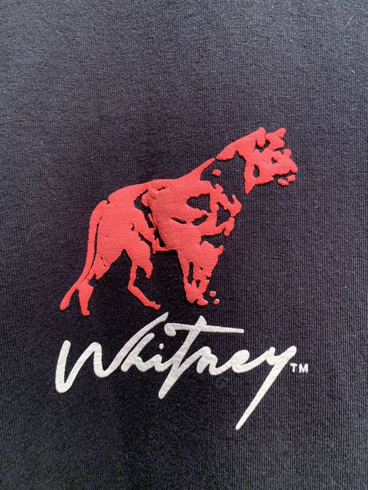 Band Tees × Vintage *RARE* Vintage 1989 Whitney Houston Fan Club USA-Made Shirt Size US XL / EU 56 / 4 - 4 Thumbnail