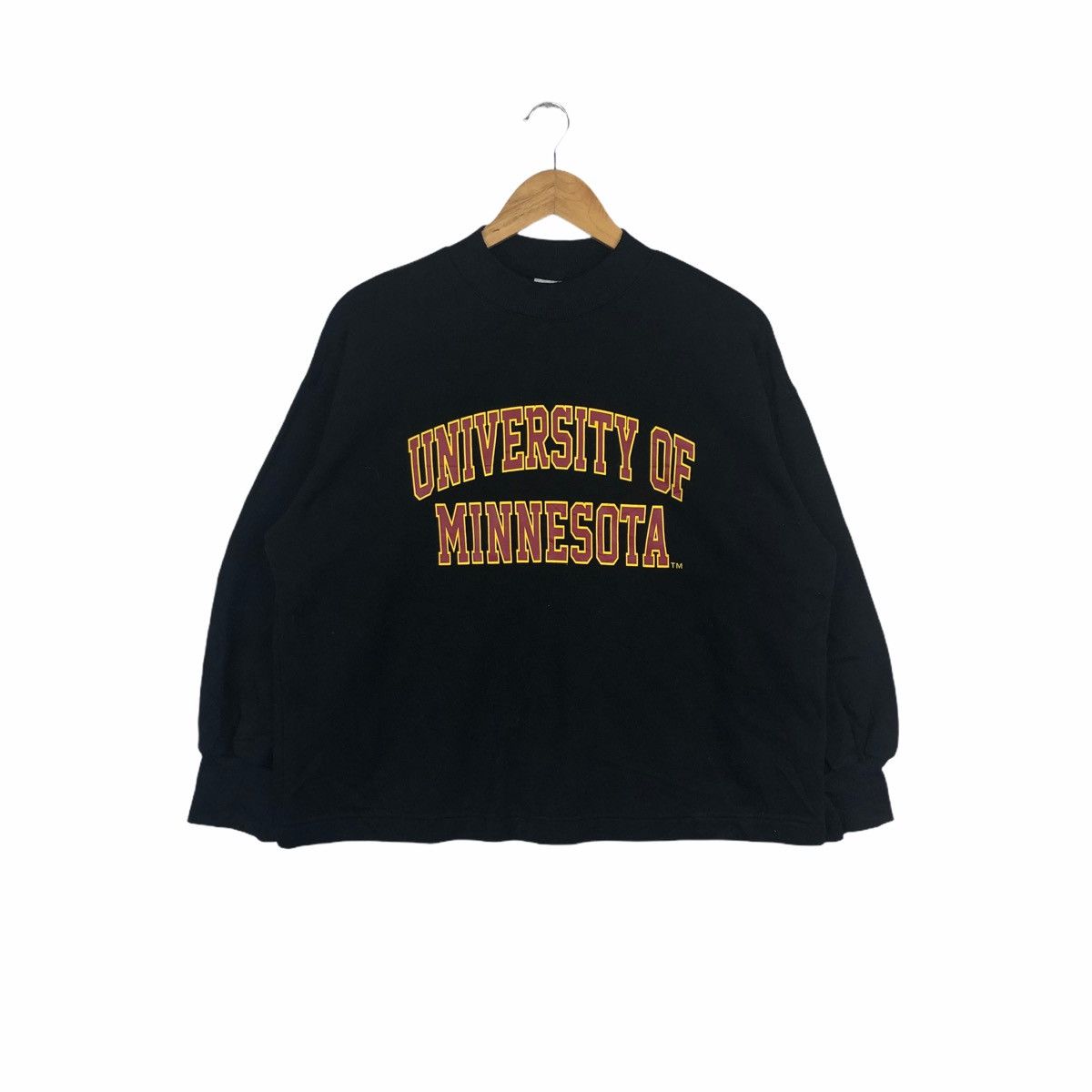 Vintage university of Minnesota sweatshirt crop top