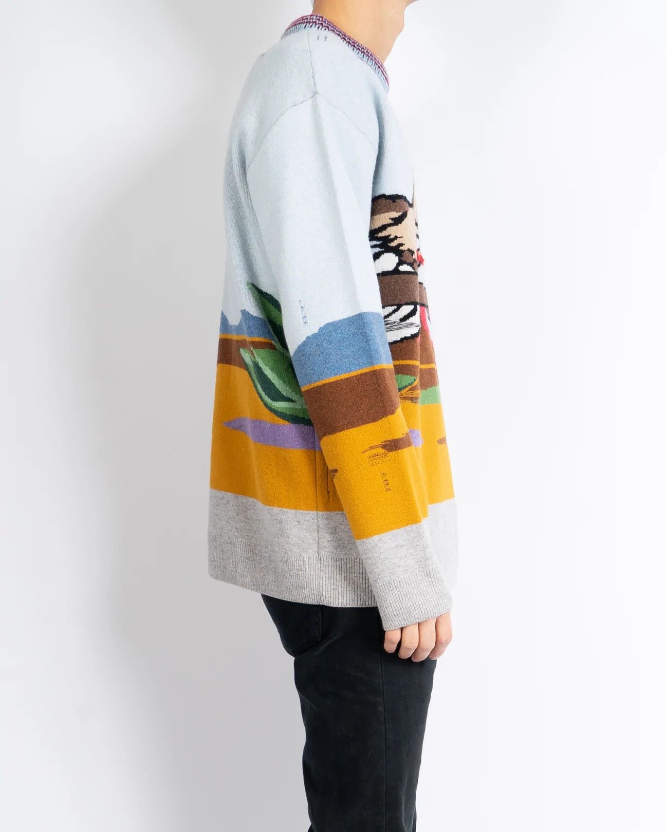 Calvin Klein 205W39NYC × Raf Simons Coyote Distressed Looney Tunes Knit Size US XS / EU 42 / 0 - 3 Thumbnail