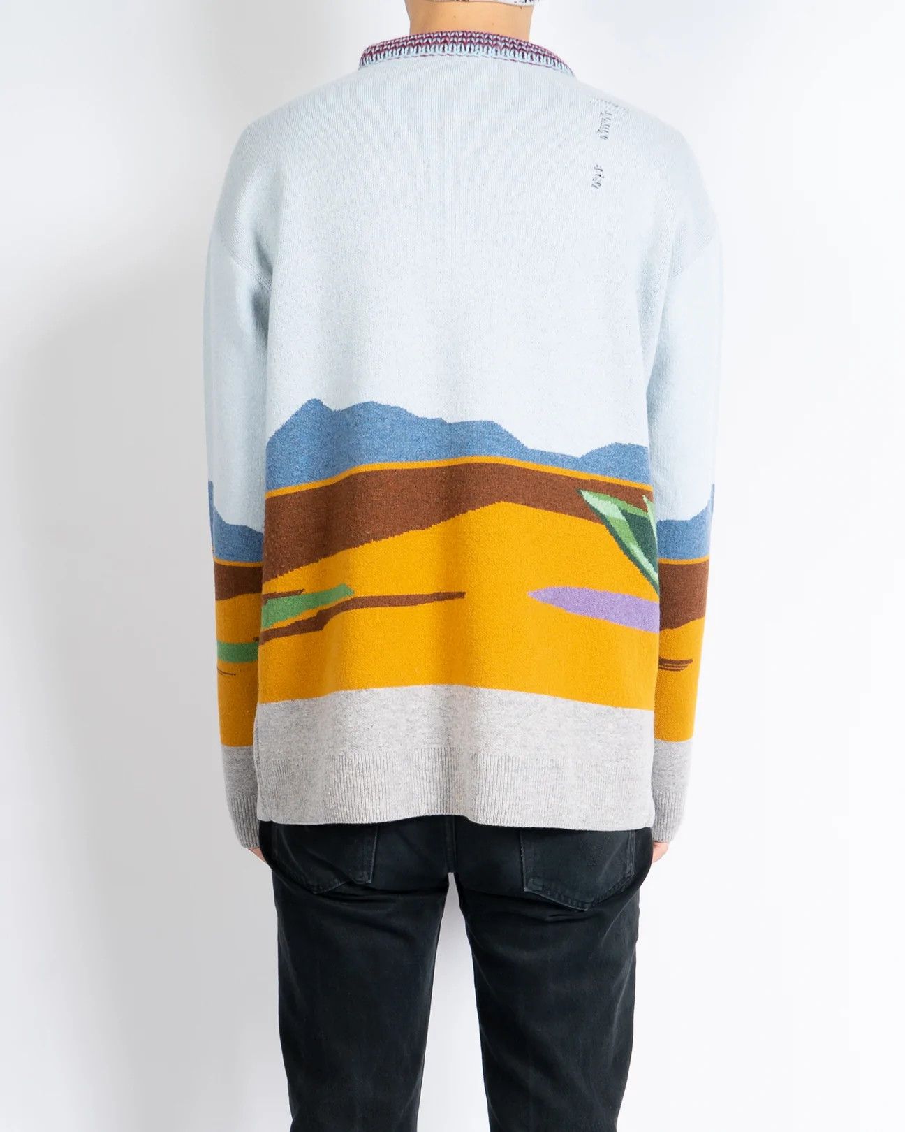 Calvin Klein 205W39NYC × Raf Simons Coyote Distressed Looney Tunes Knit Size US XS / EU 42 / 0 - 4 Thumbnail