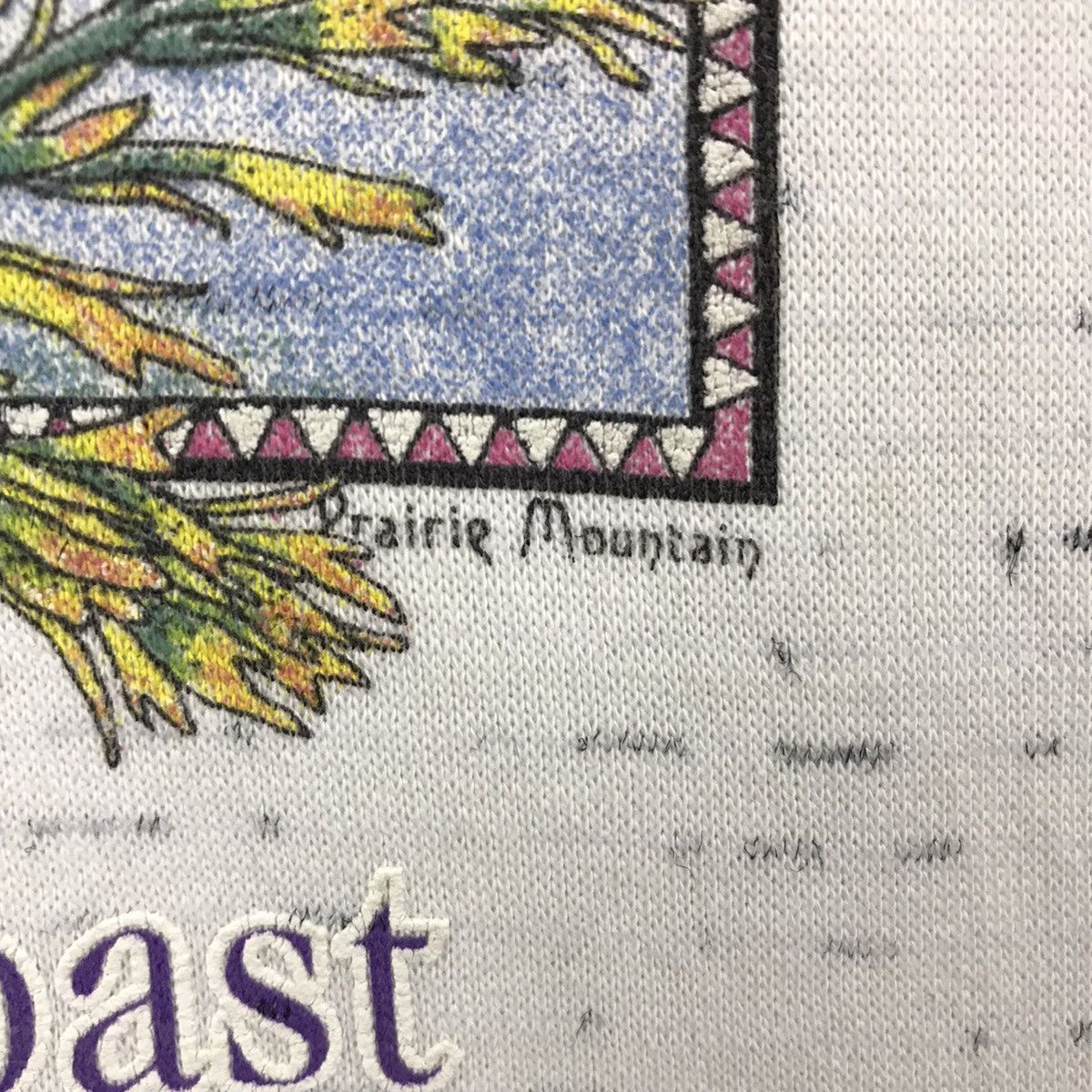 The Mountain × Vintage Vintage Prairie Mountain American Sportswear Fort Bragg Size US M / EU 48-50 / 2 - 5 Thumbnail