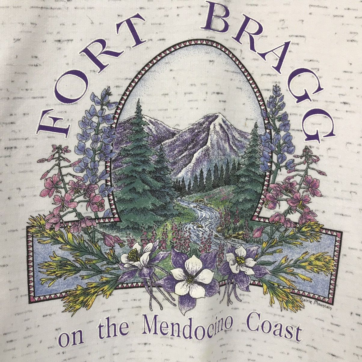 The Mountain × Vintage Vintage Prairie Mountain American Sportswear Fort Bragg Size US M / EU 48-50 / 2 - 3 Thumbnail