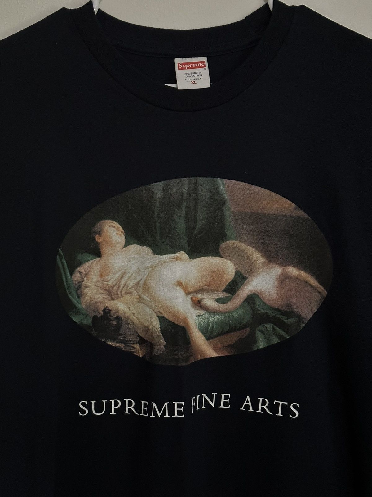 Supreme Supreme Leda And The Swan Tee Size US XL / EU 56 / 4 - 2 Thumbnail