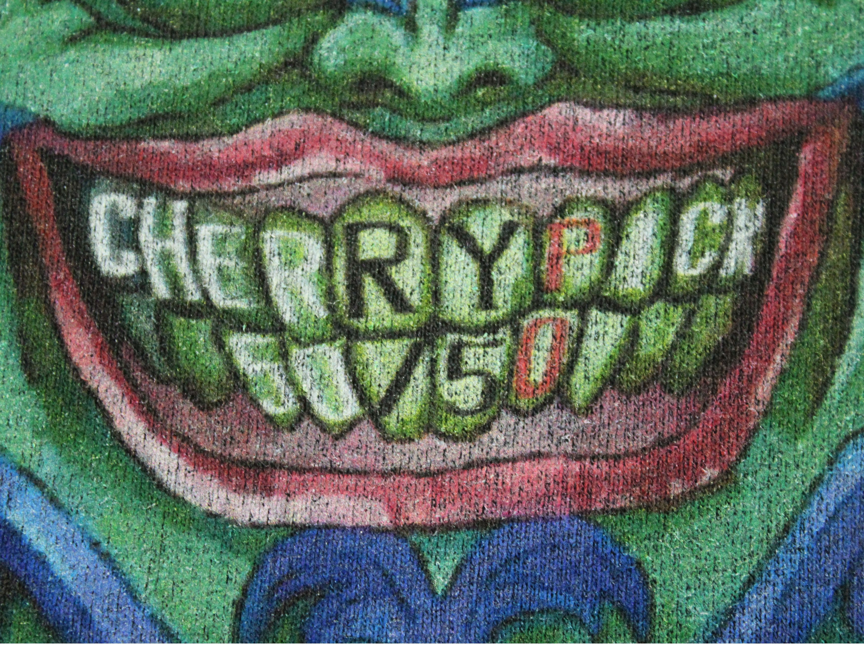Expert Horror × Japanese Brand Made In Japan Cherry Pick 50/50 T Shirt Art Ghost Size US L / EU 52-54 / 3 - 9 Thumbnail