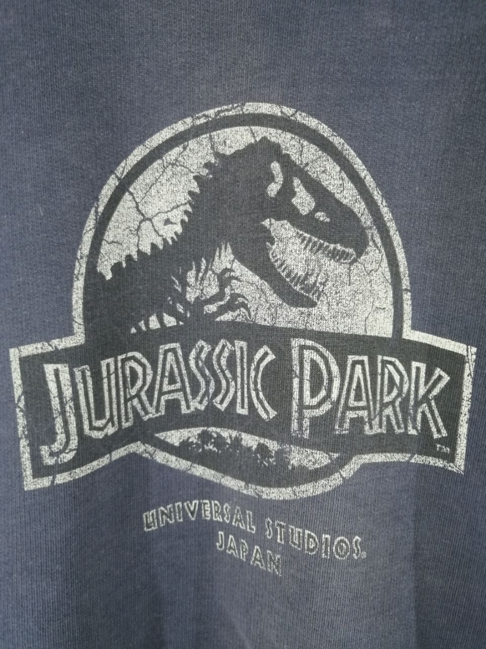 ICON Motorsports JURASSIC PARK SWEATSHIRT Size US L / EU 52-54 / 3 - 3 Thumbnail