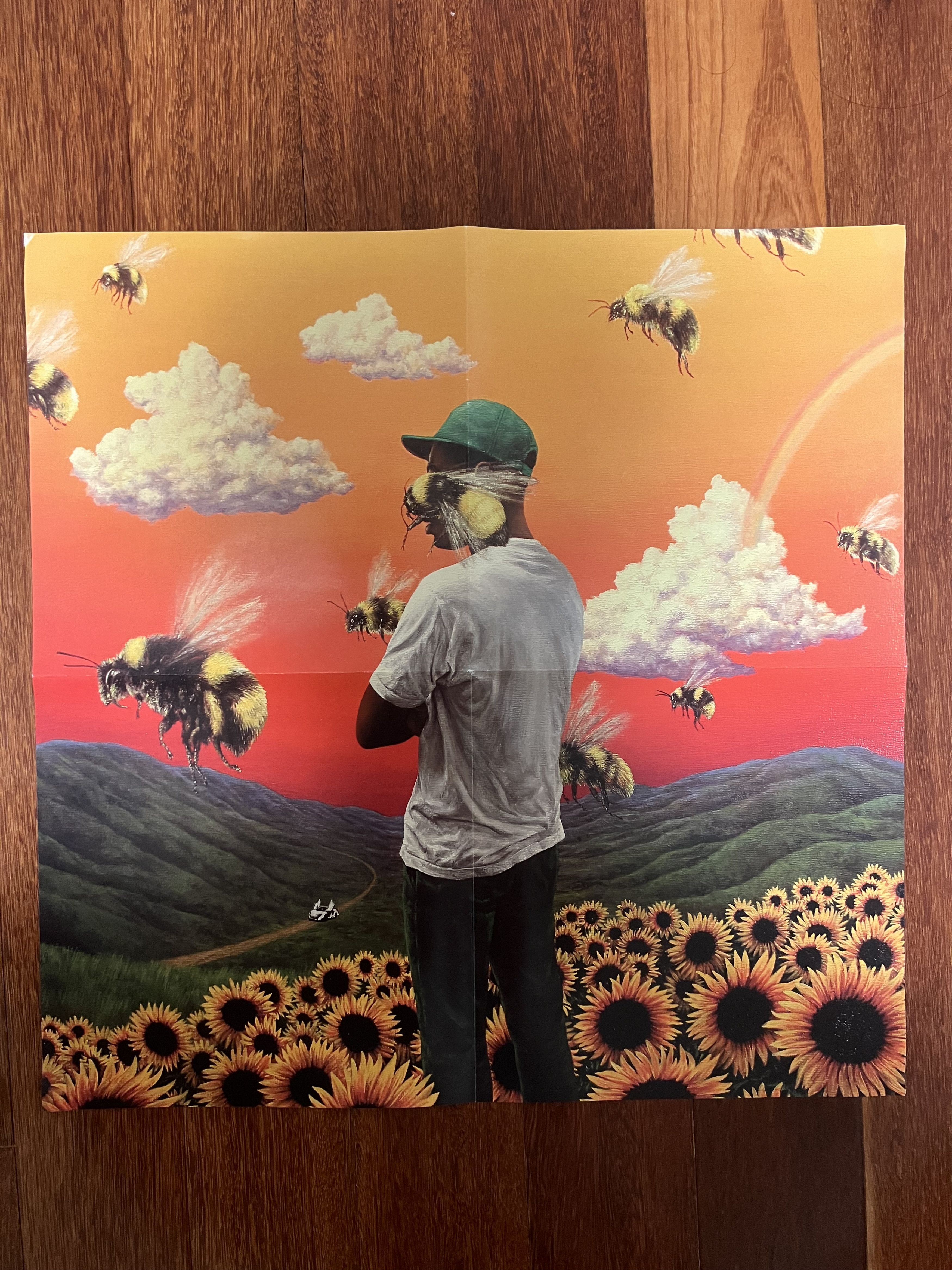 Golf Wang 💚 Golf Wang Flower Boy Square Album Poster NEW Size ONE SIZE - 1 Thumbnail