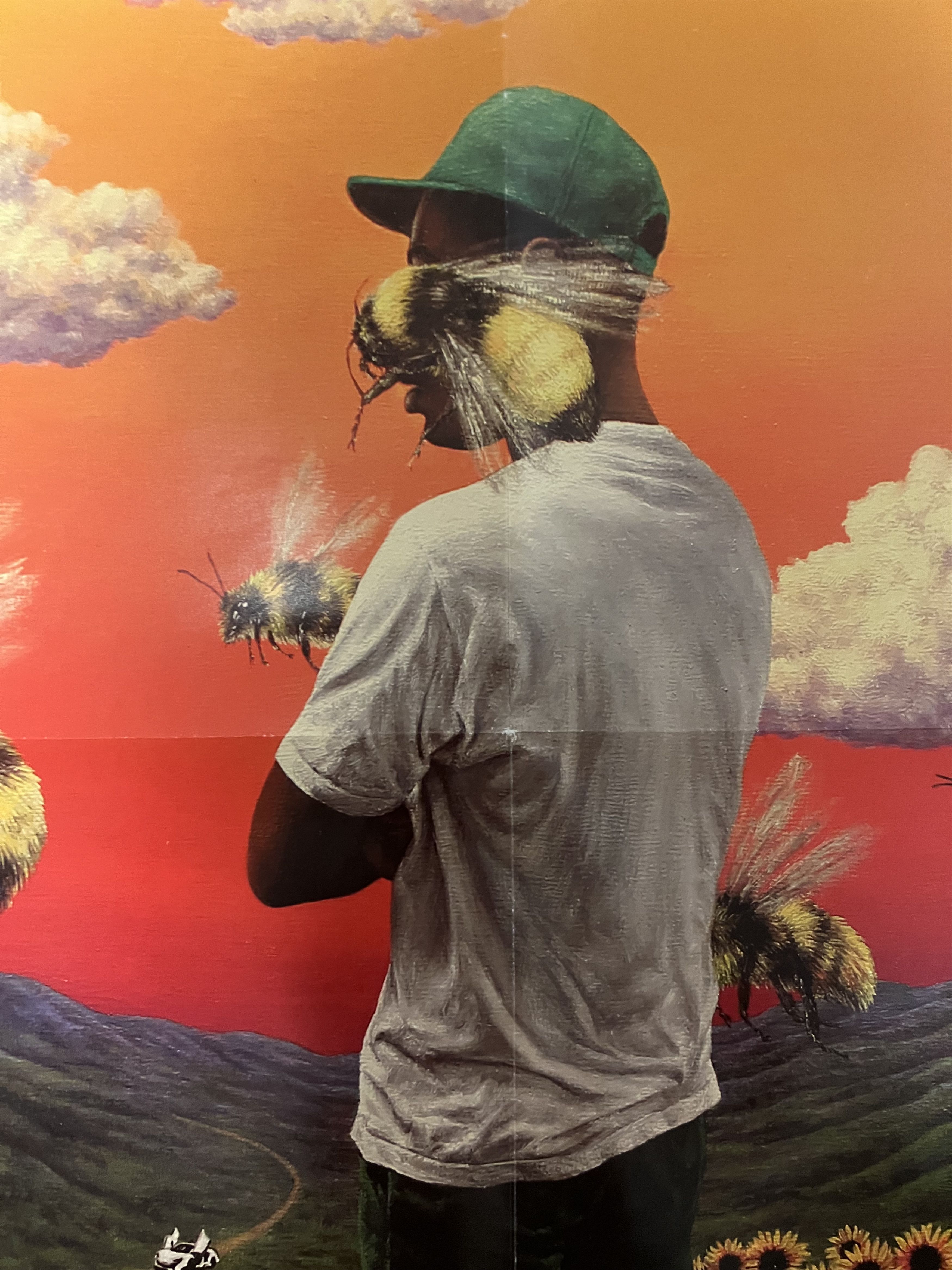 Golf Wang 💚 Golf Wang Flower Boy Square Album Poster NEW Size ONE SIZE - 3 Thumbnail