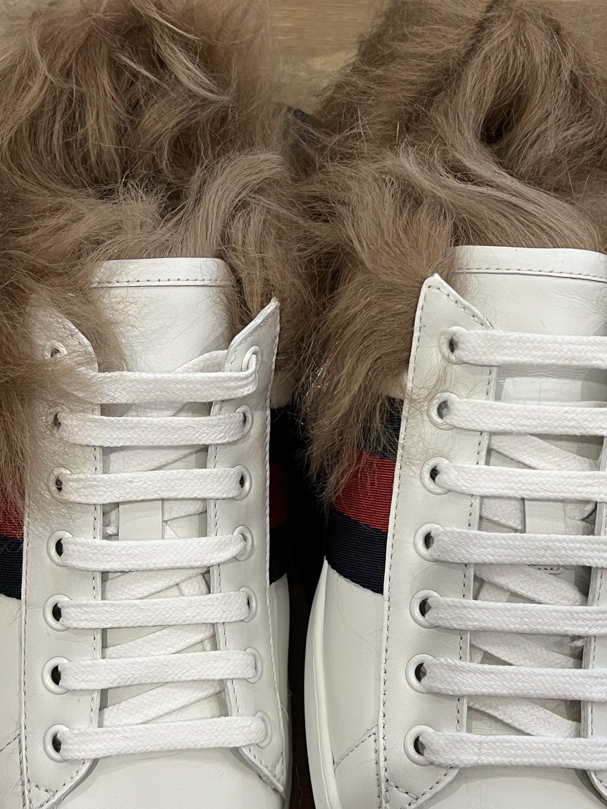 Gucci Gucci Ace Fur low top Trainer Sneakers Size US 7.5 / EU 40-41 - 16 Thumbnail