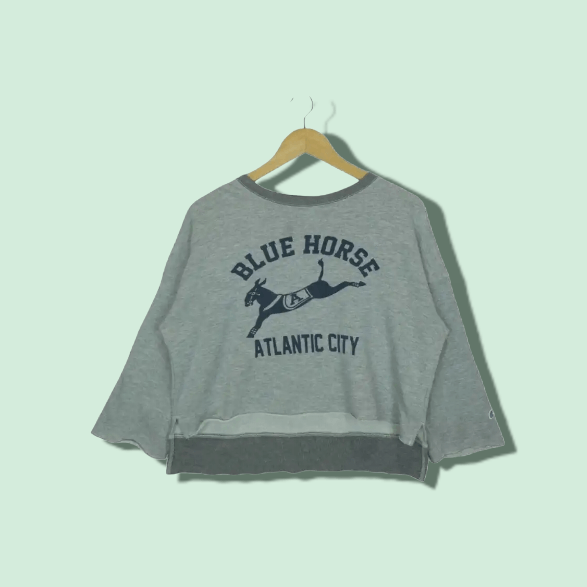 Champion × Vintage Vintage 90's CHAMPION Blue Horse Atlantic Crop Top Sweater Size M / US 6-8 / IT 42-44 - 1 Thumbnail